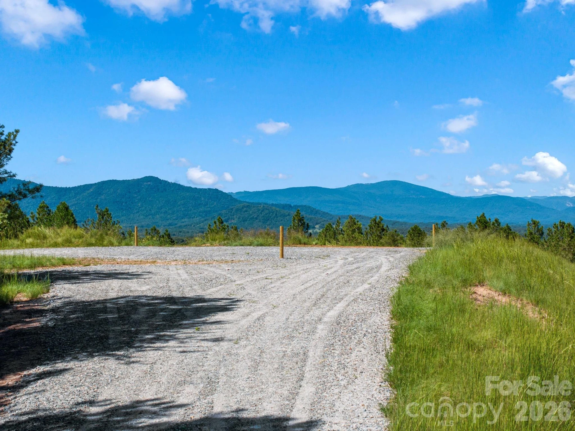 TBD Williams Loop - Photo 8