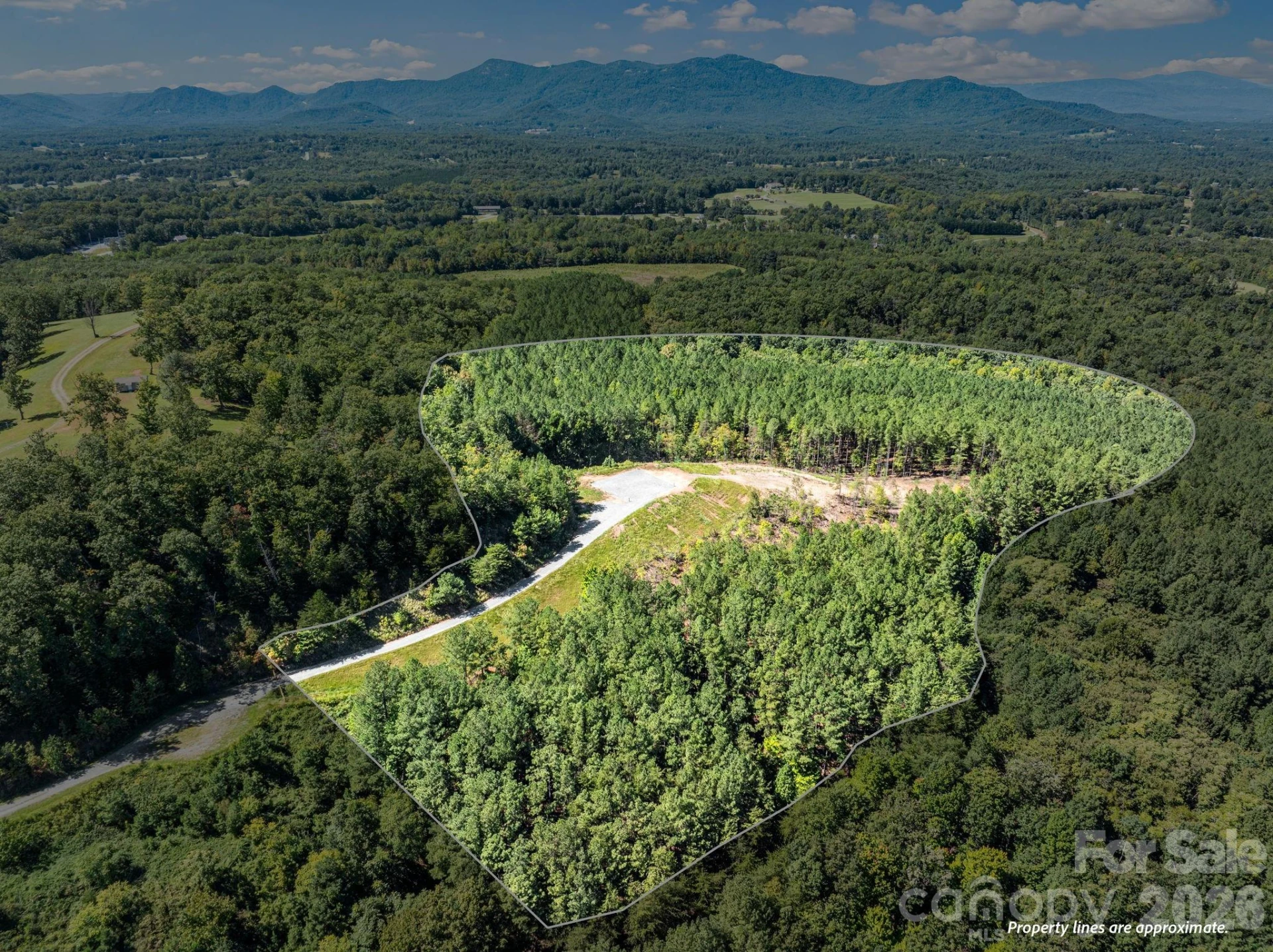TBD Williams Loop - Photo 10