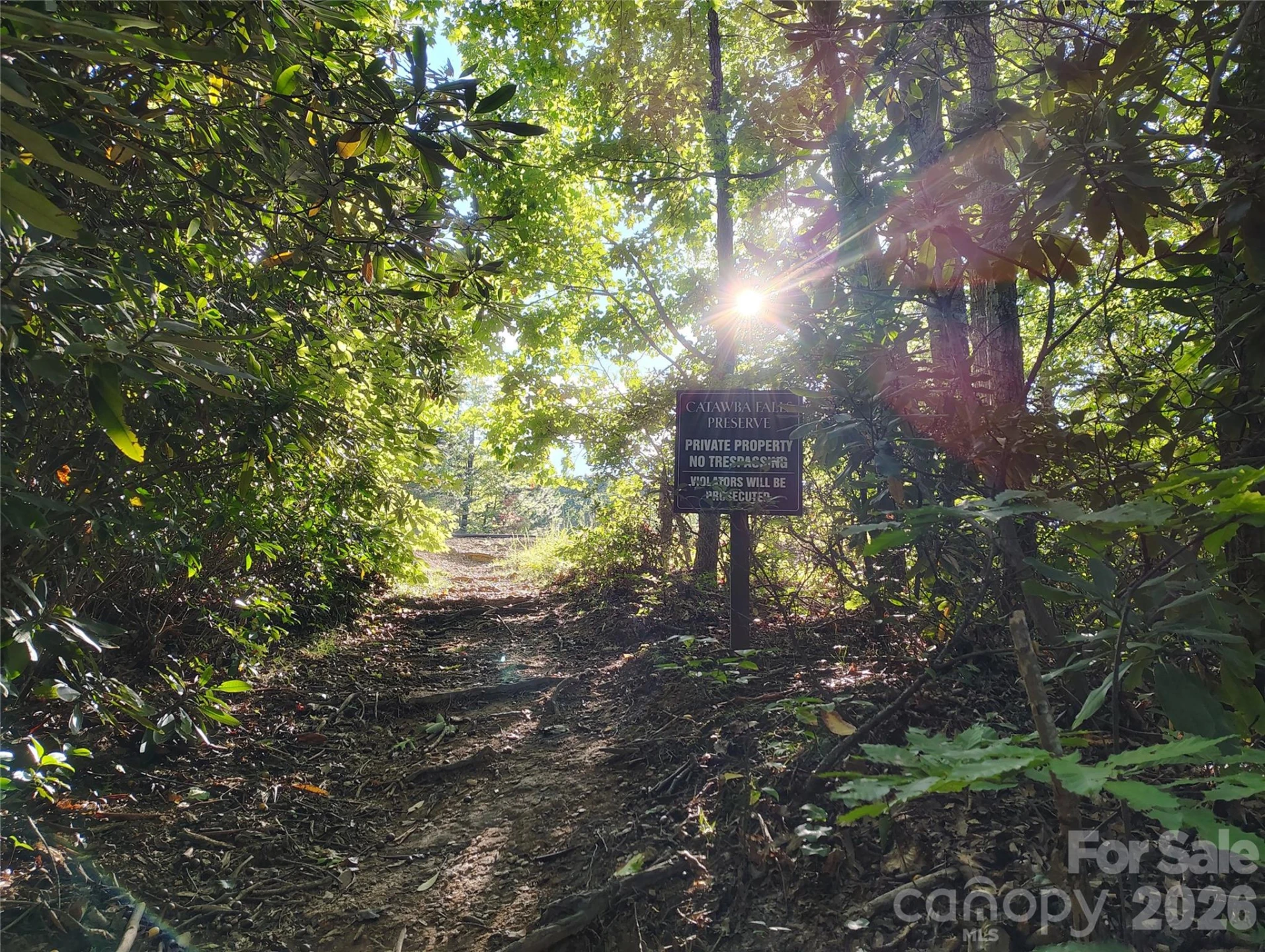 304 Feather Falls Trail #4 - Photo 3