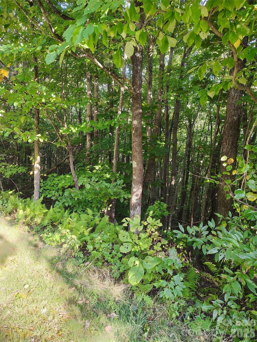 304 Feather Falls Trail #4 - Photo 8