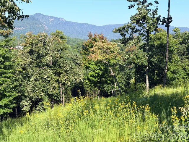 0 Summertime Drive, Lake Lure, NC, 28746