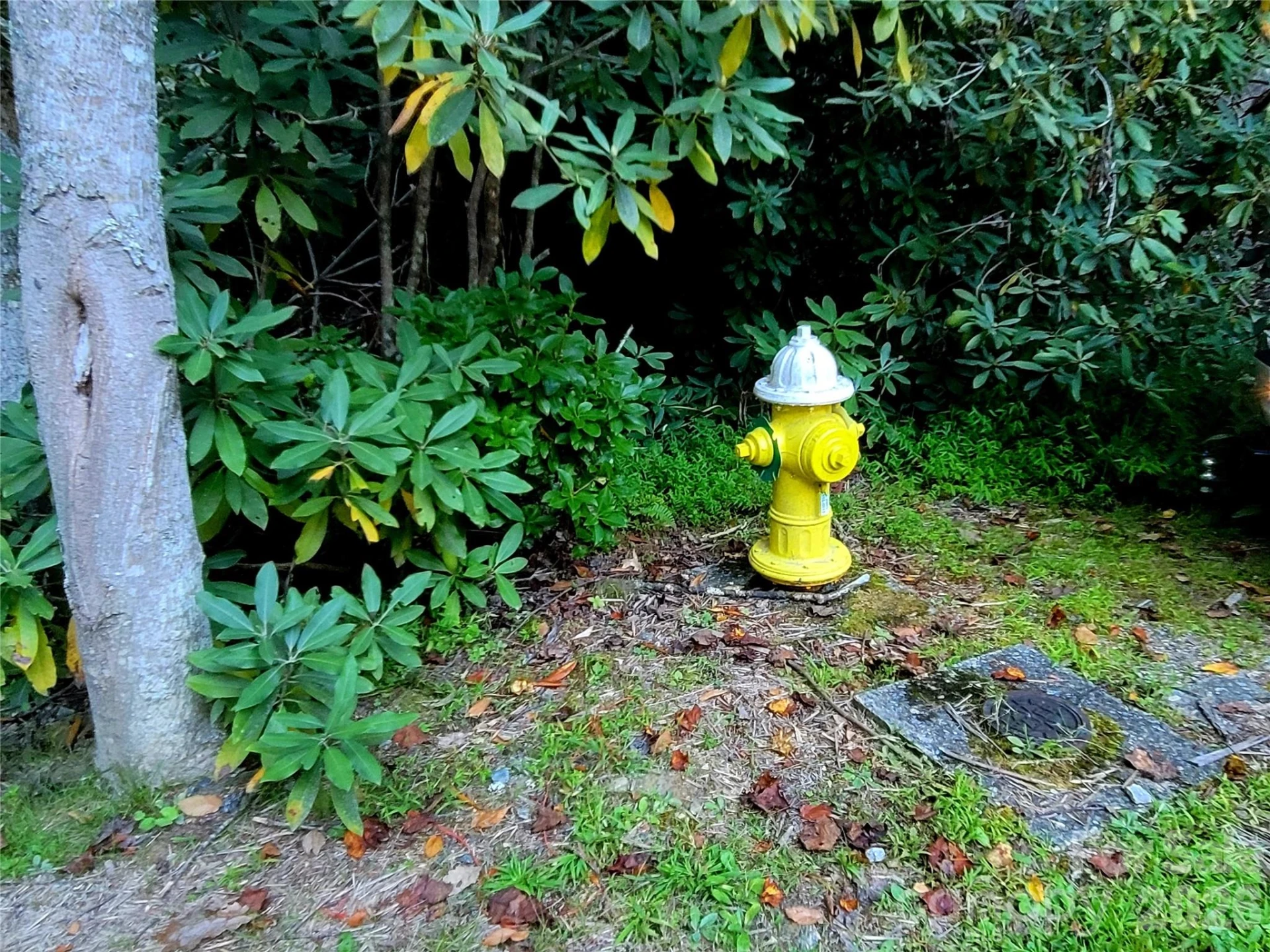 0 Joyful Lane - Photo 2