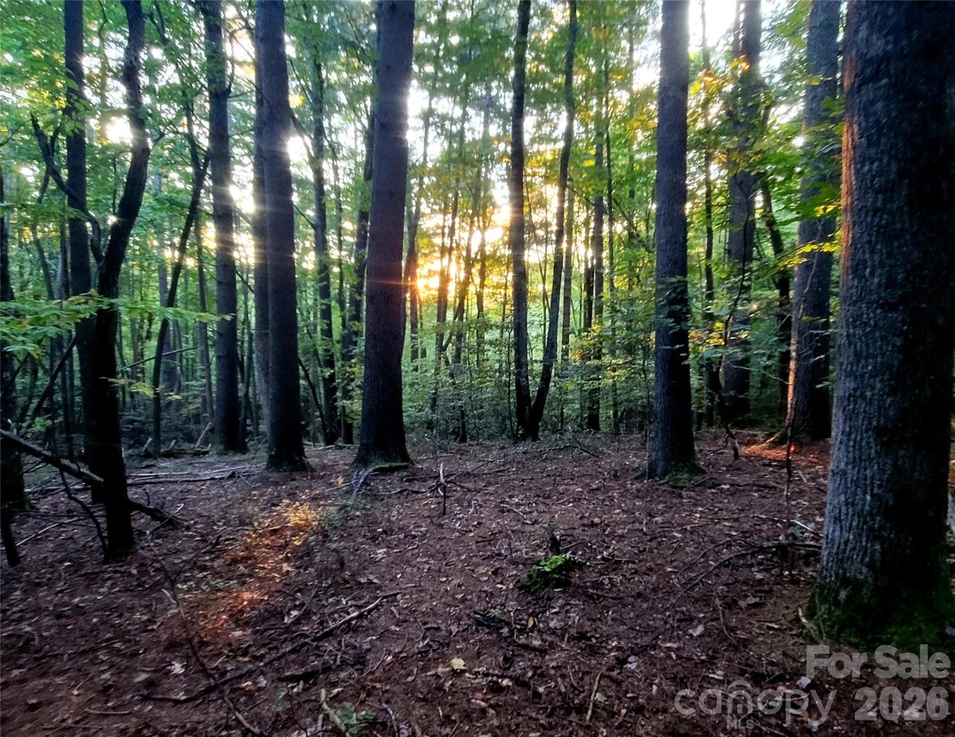 0 Joyful Lane - Photo 3