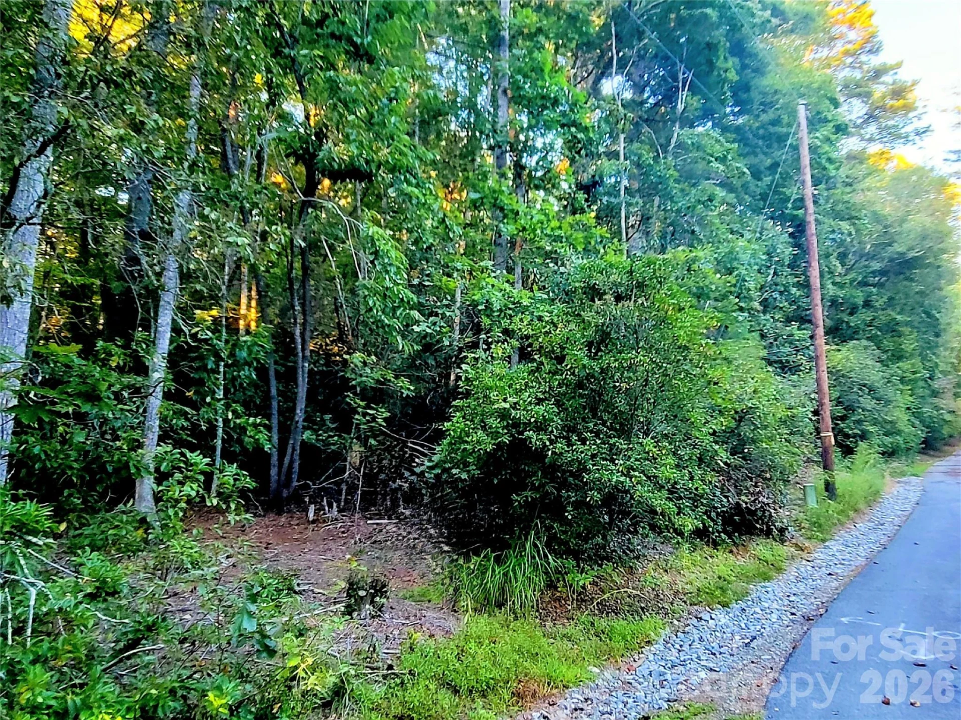 0 Joyful Lane - Photo 8