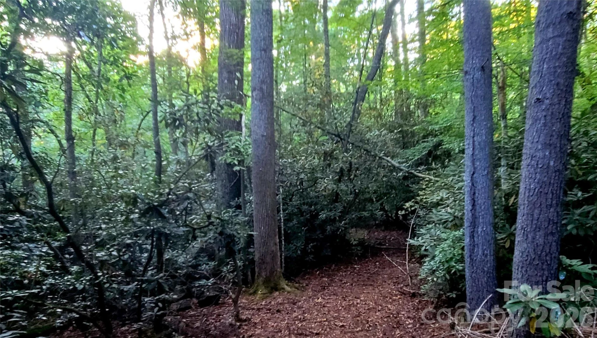 0 Joyful Lane - Photo 10