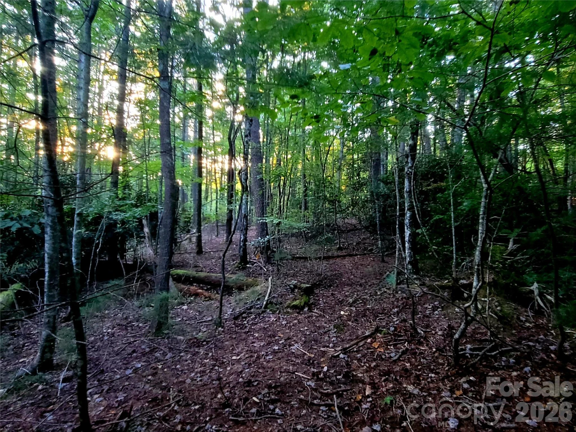 0 Joyful Lane - Photo 11