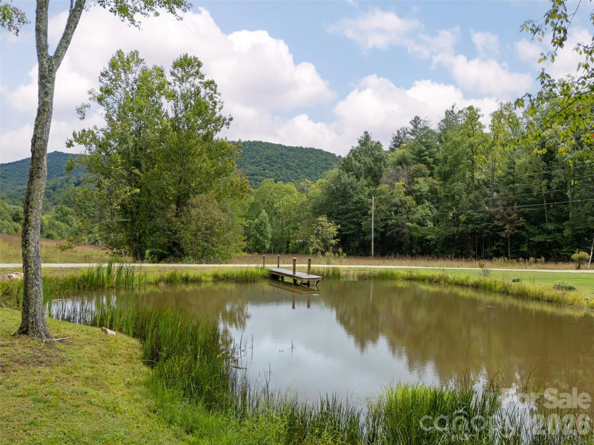 116 Sams Branch Road - Photo 40