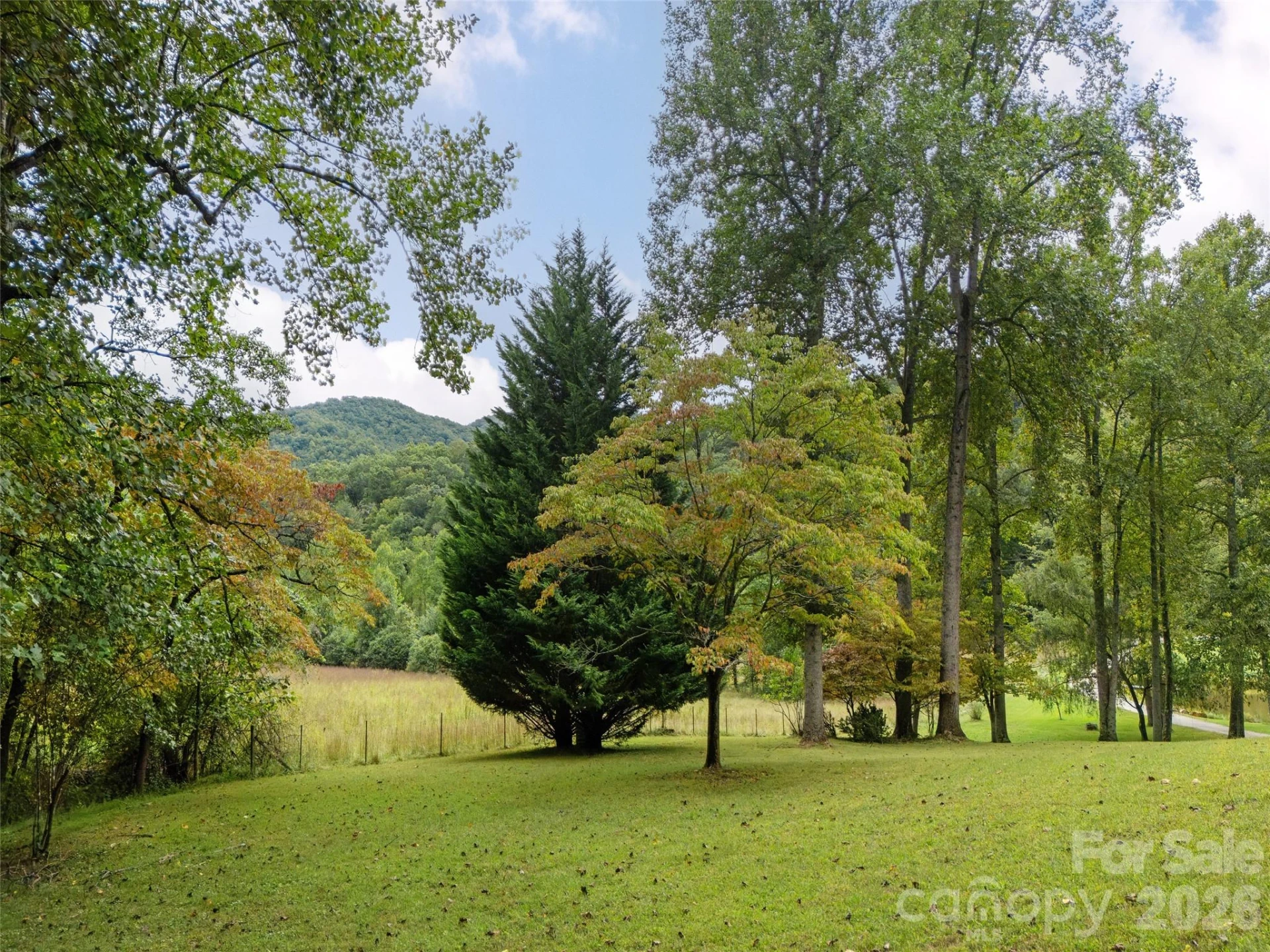 116 Sams Branch Road - Photo 43