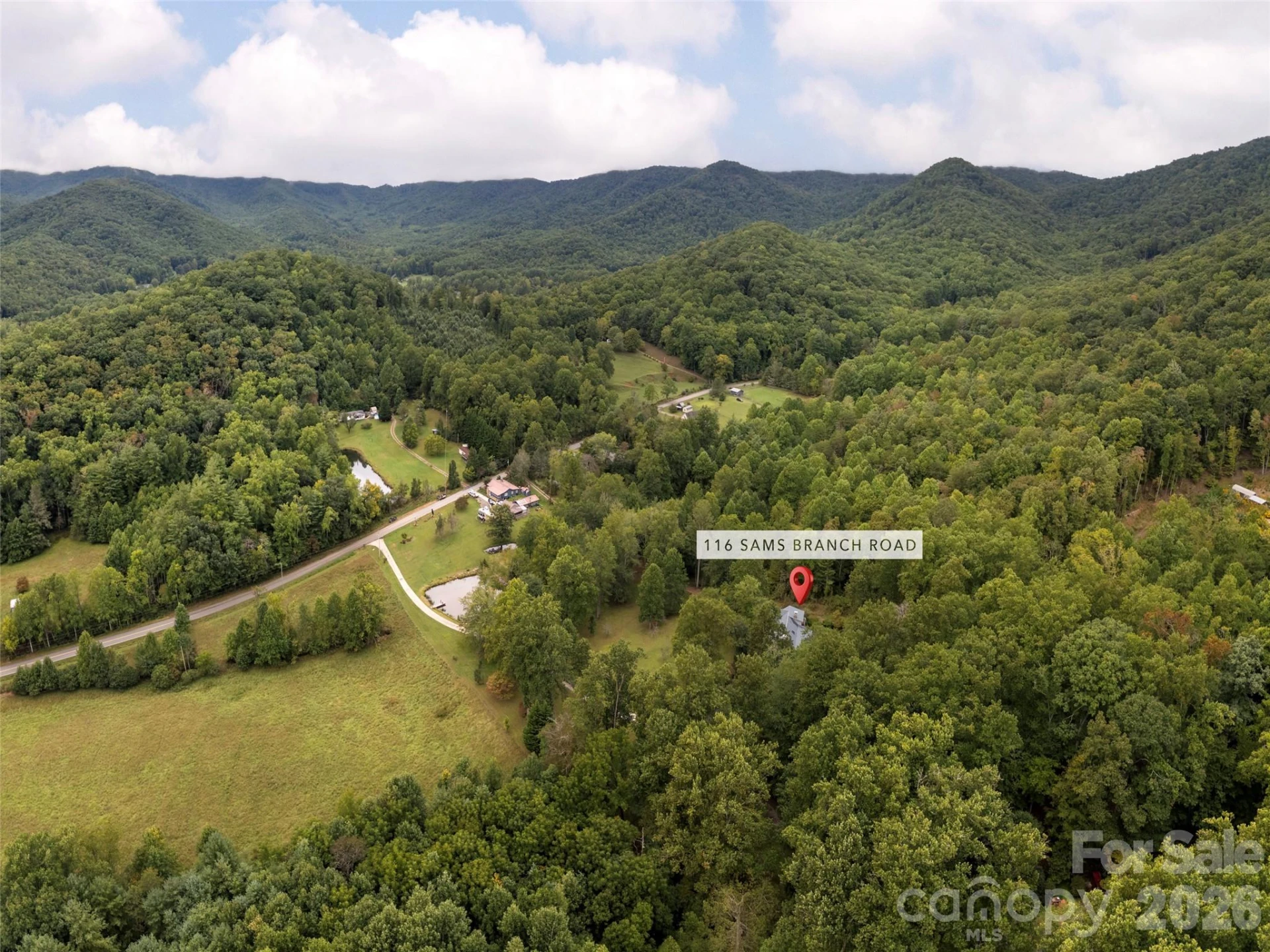 116 Sams Branch Road - Photo 47