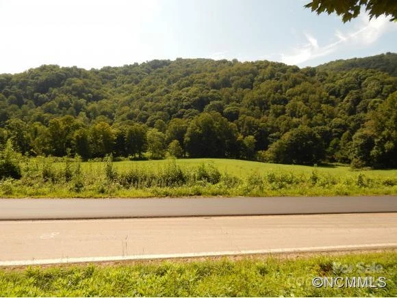 00 HWY. 209 Highway - Photo 21