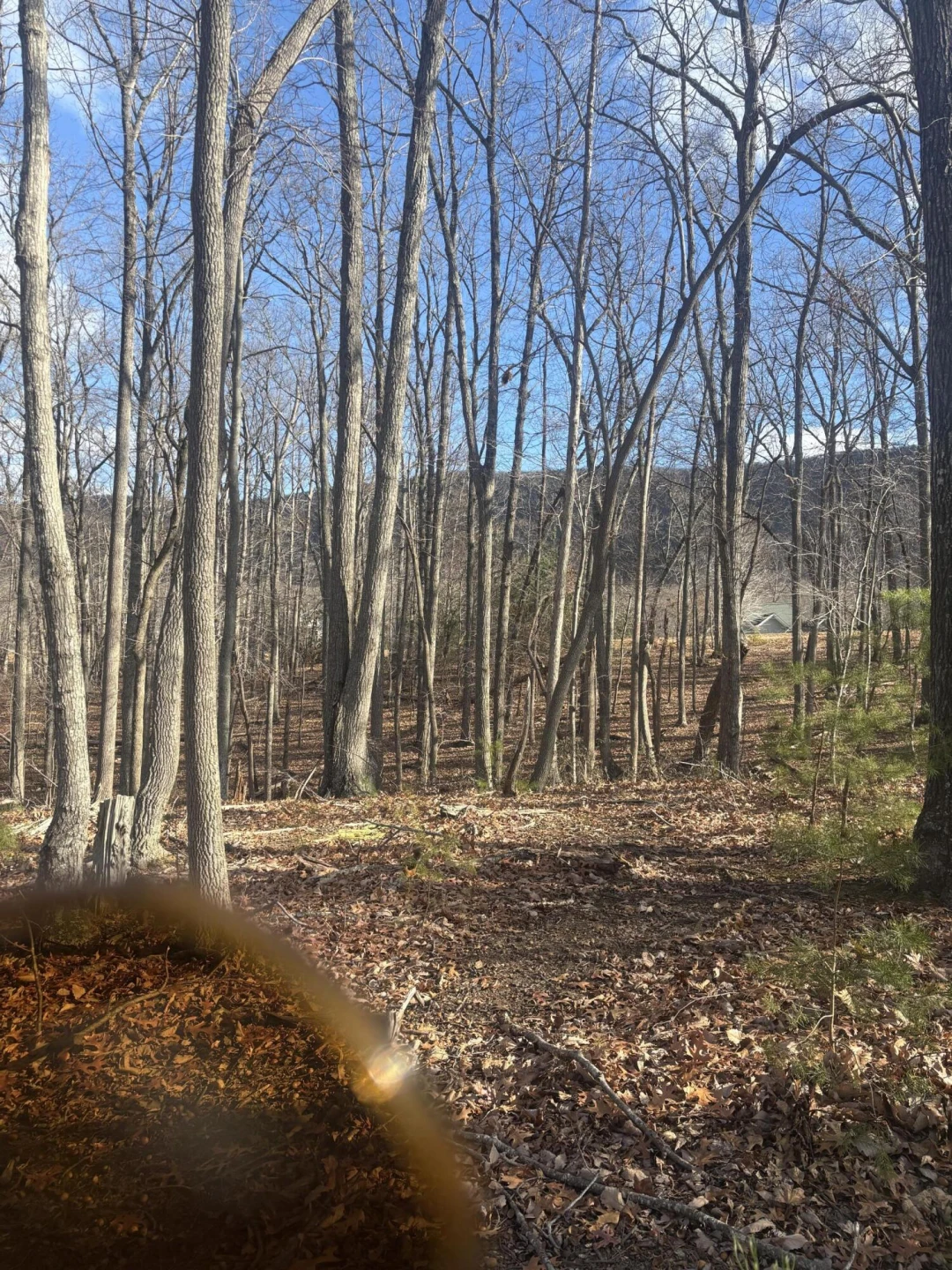 LOT 23 MOUNTAIN VISTA DR - Photo 13
