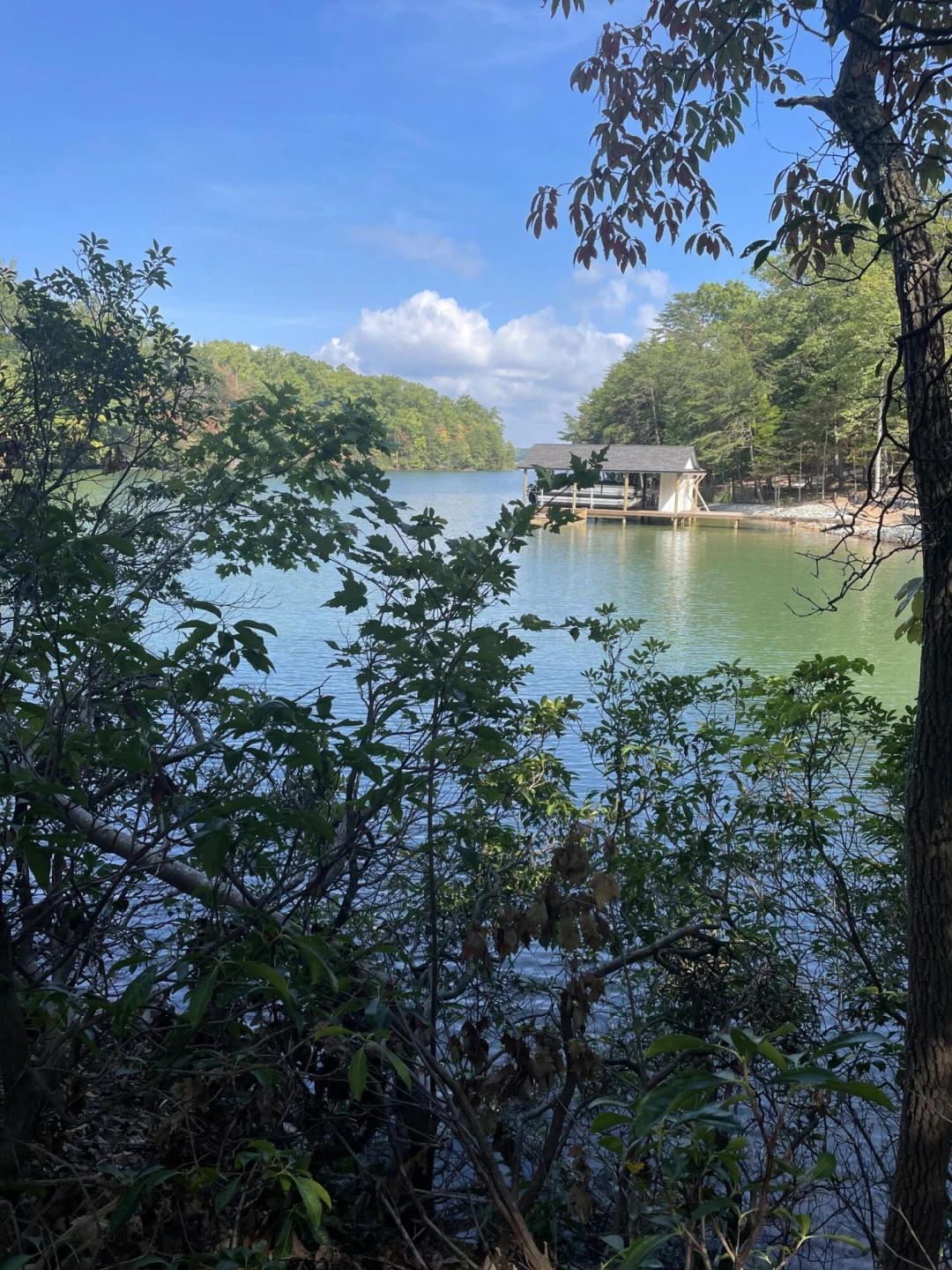 LOT 23 MOUNTAIN VISTA DR - Photo 5