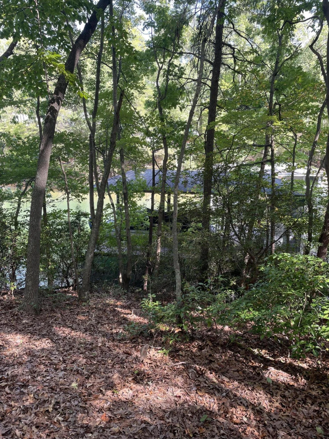 LOT 23 MOUNTAIN VISTA DR - Photo 6