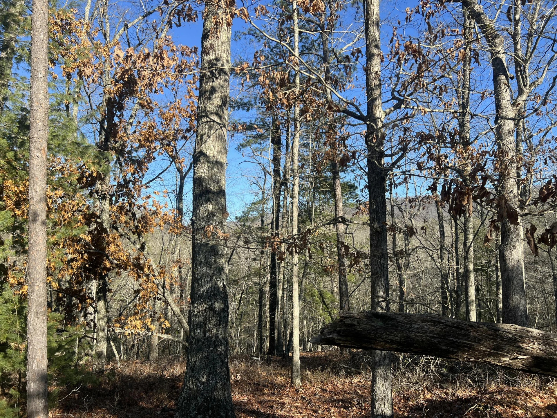 Lot 45 Black Diamond DR