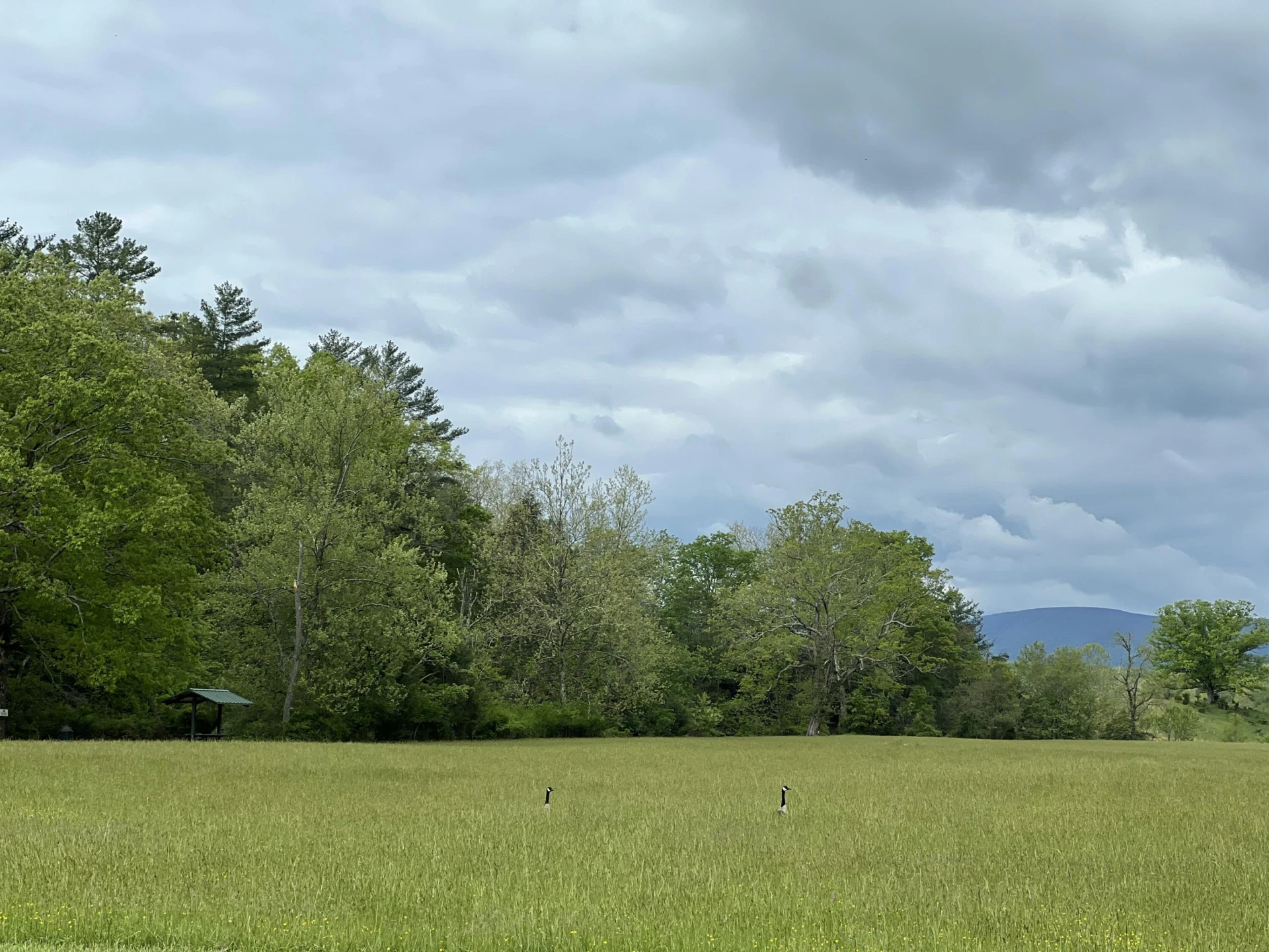 Lot 45 Black Diamond DR - Photo 13