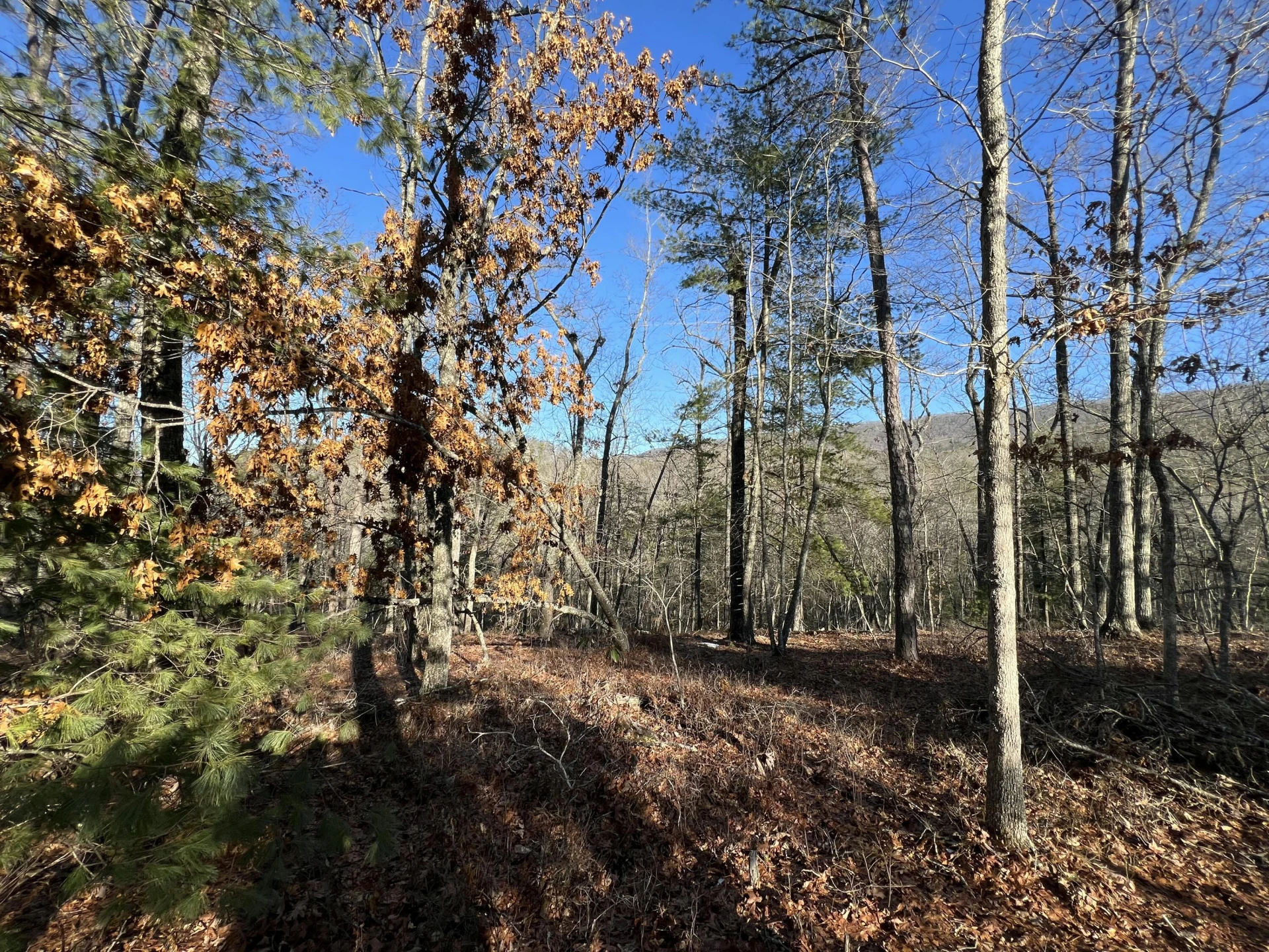 Lot 45 Black Diamond DR - Photo 2