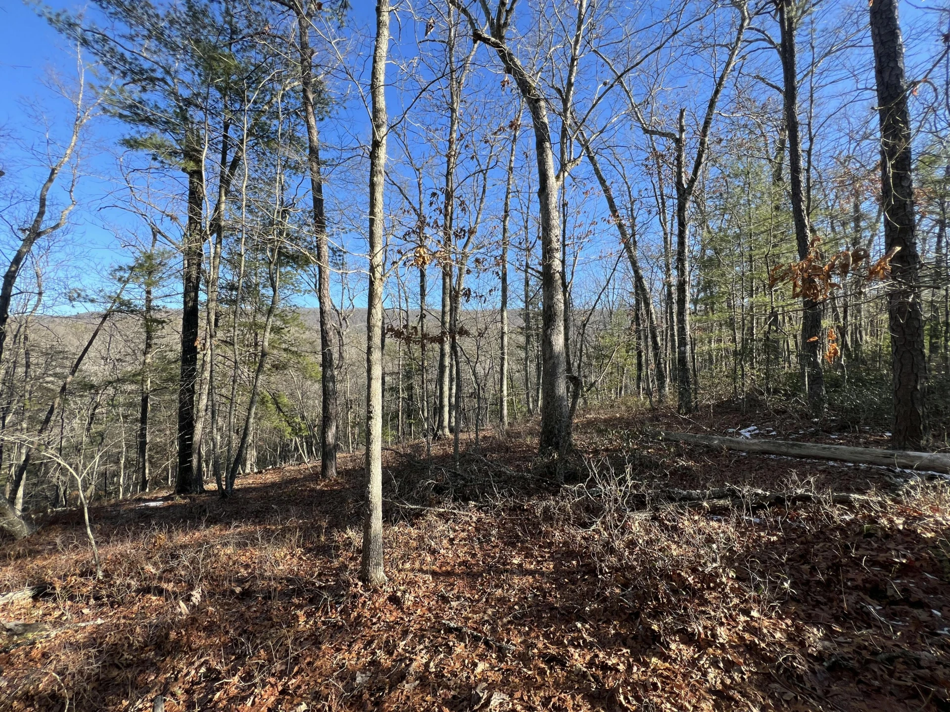 Lot 45 Black Diamond DR - Photo 3