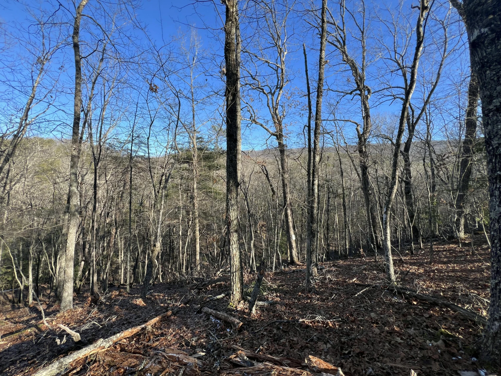 Lot 45 Black Diamond DR - Photo 4