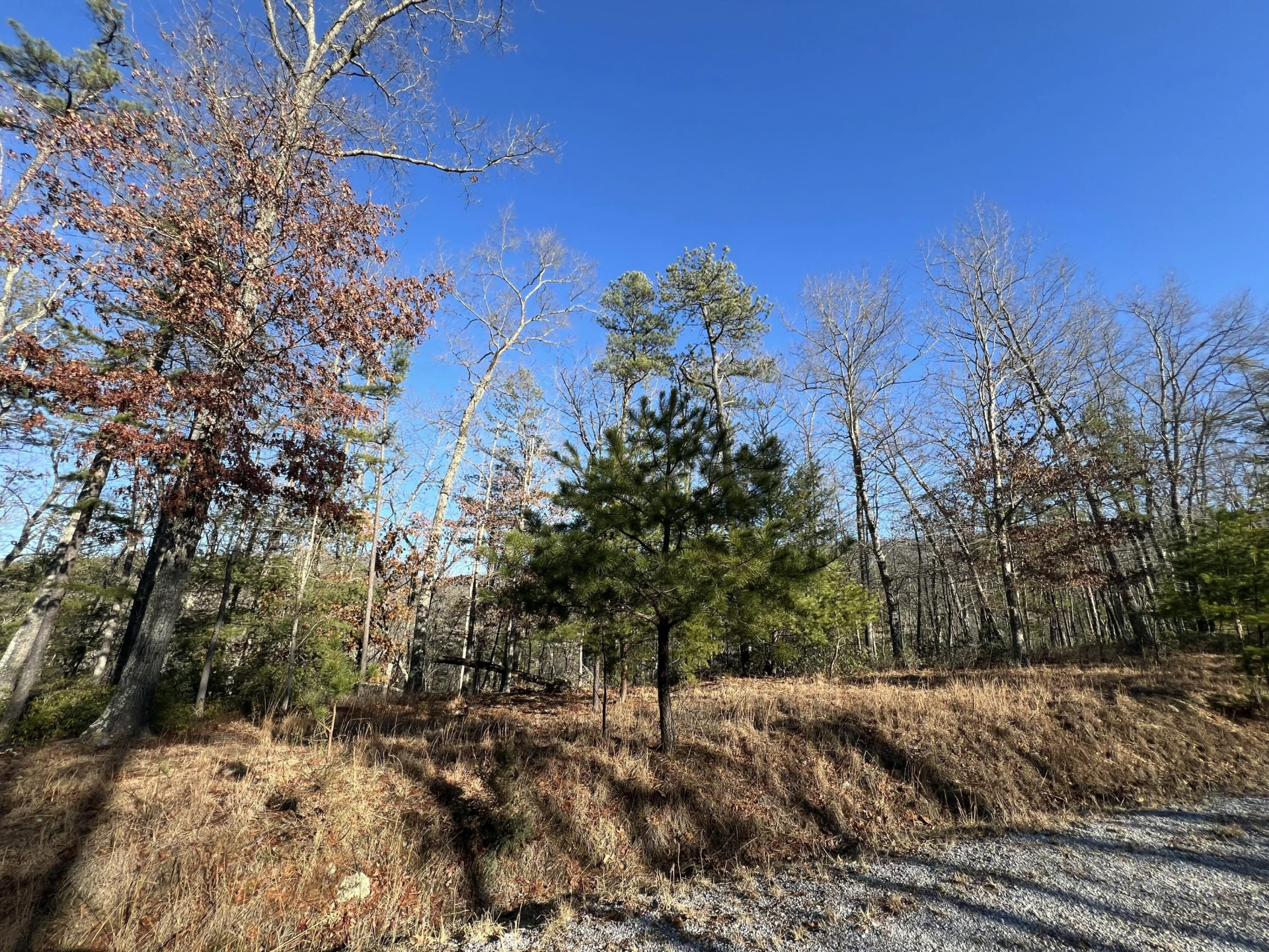 Lot 45 Black Diamond DR - Photo 5