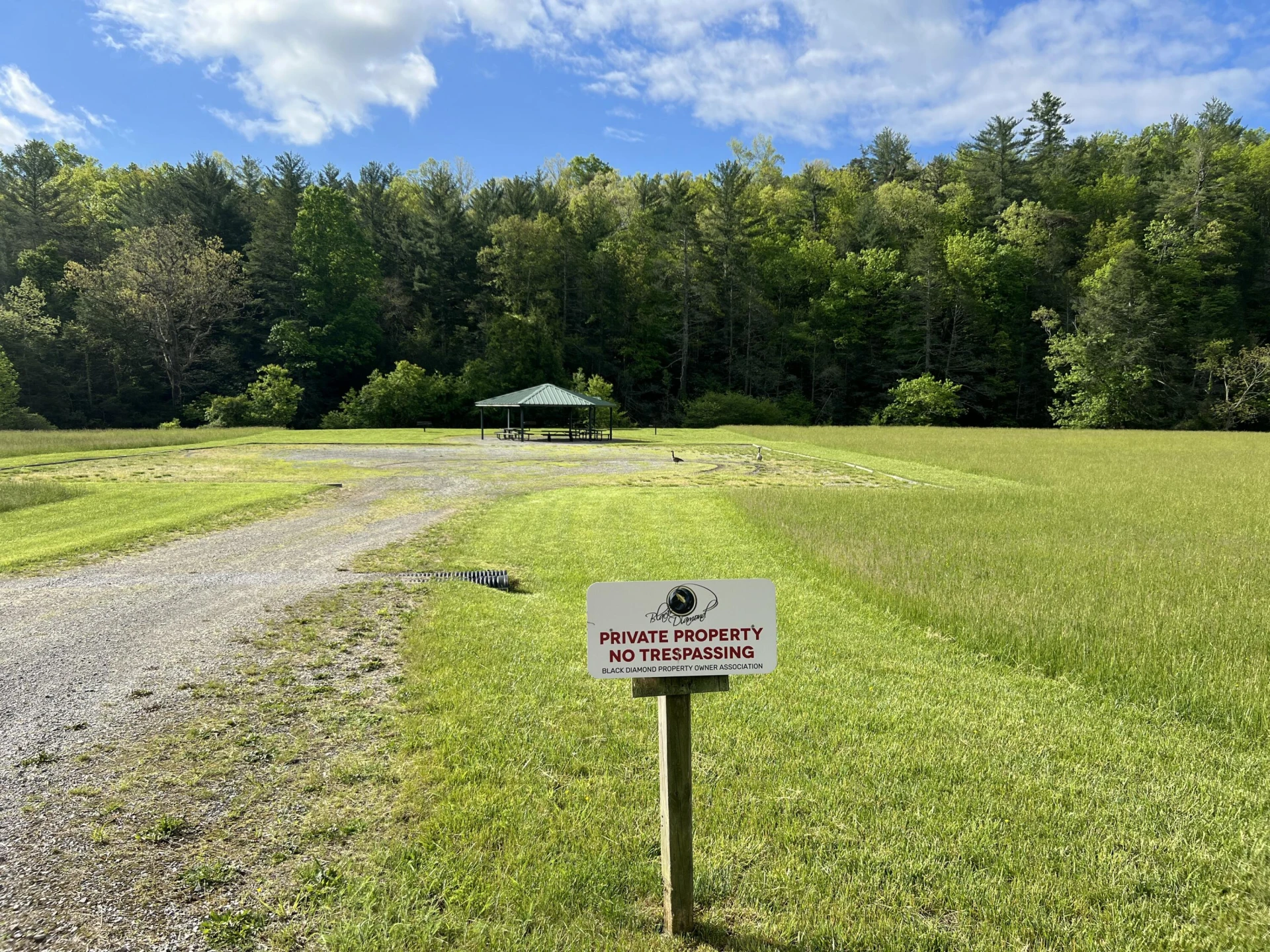 Lot 45 Black Diamond DR - Photo 6