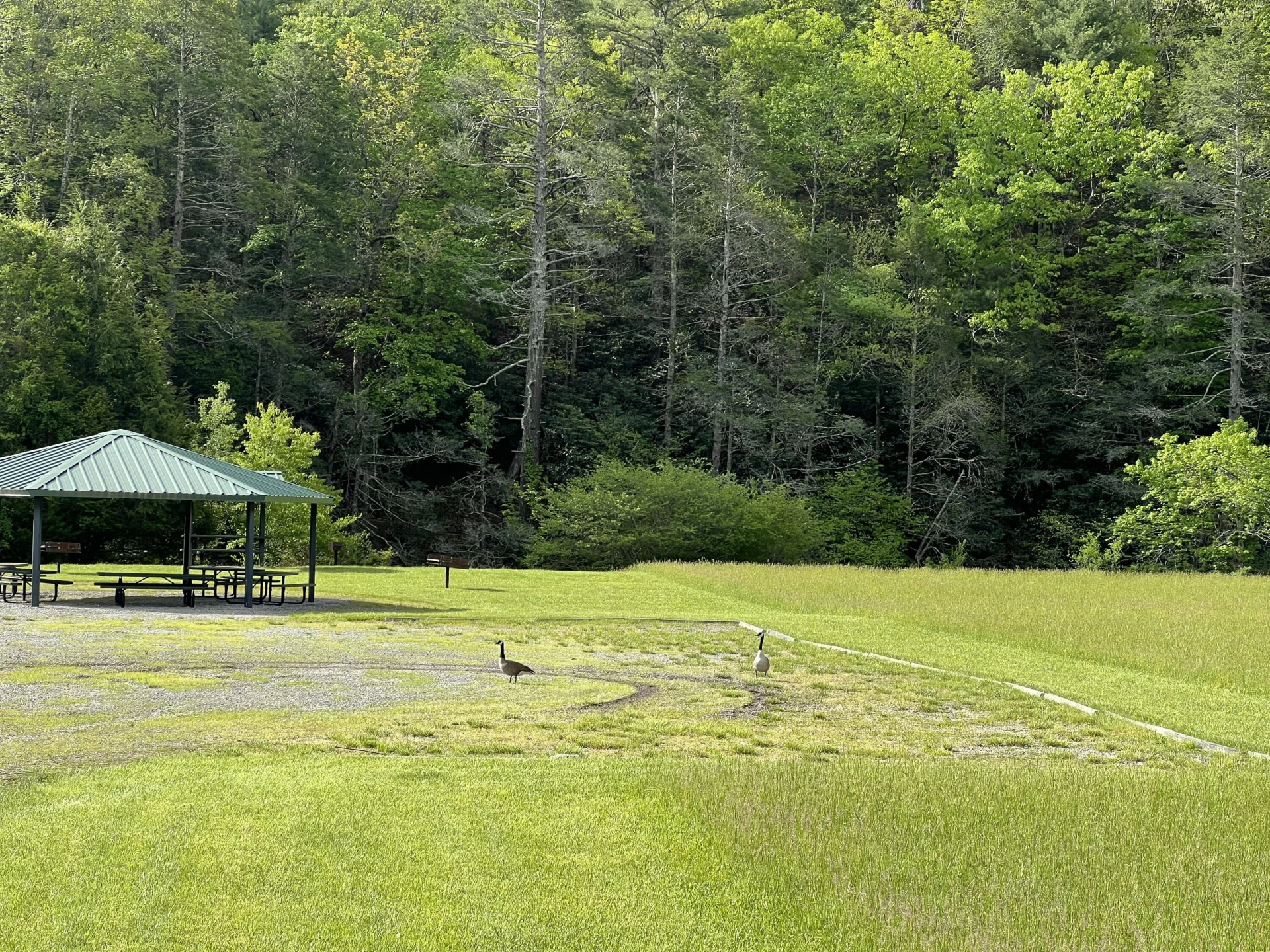 Lot 45 Black Diamond DR - Photo 7