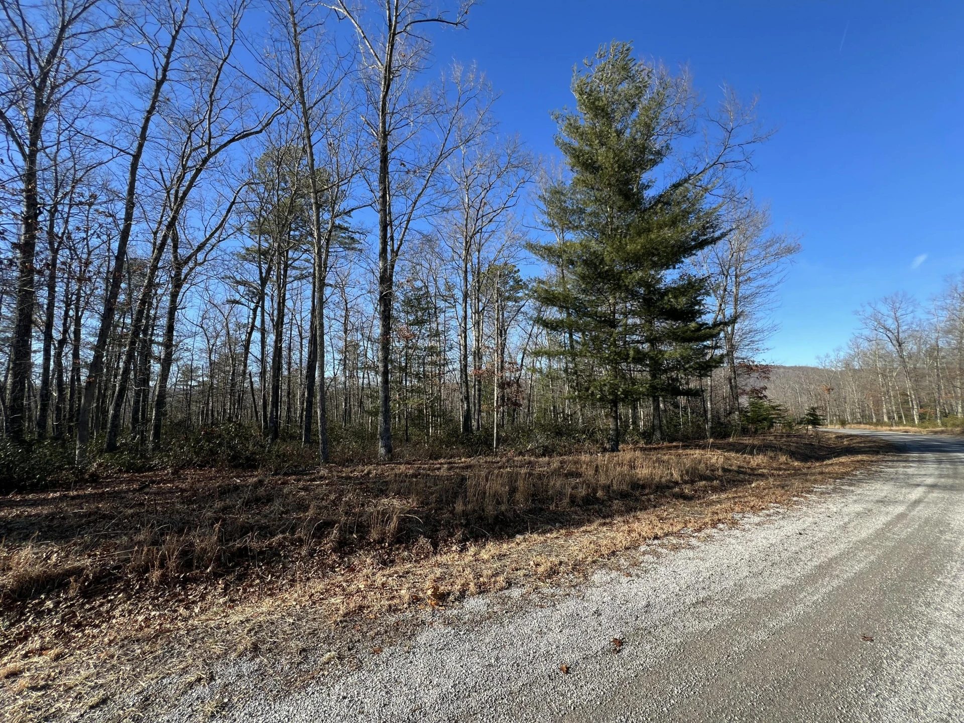 Lot 52 Black Diamond DR