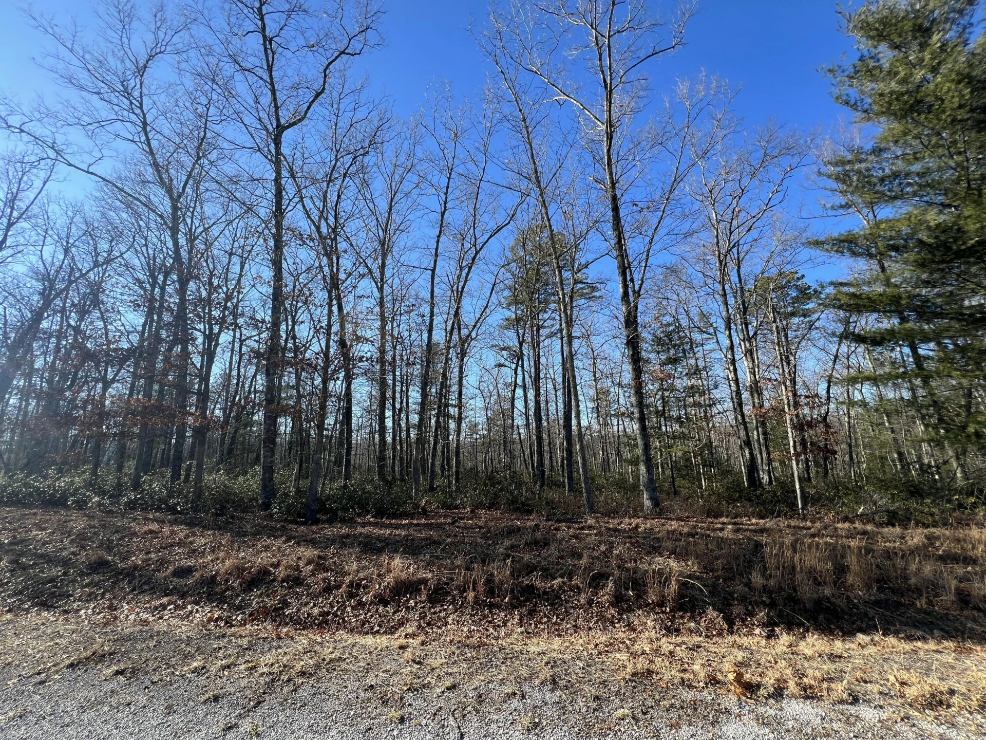 Lot 52 Black Diamond DR - Photo 2