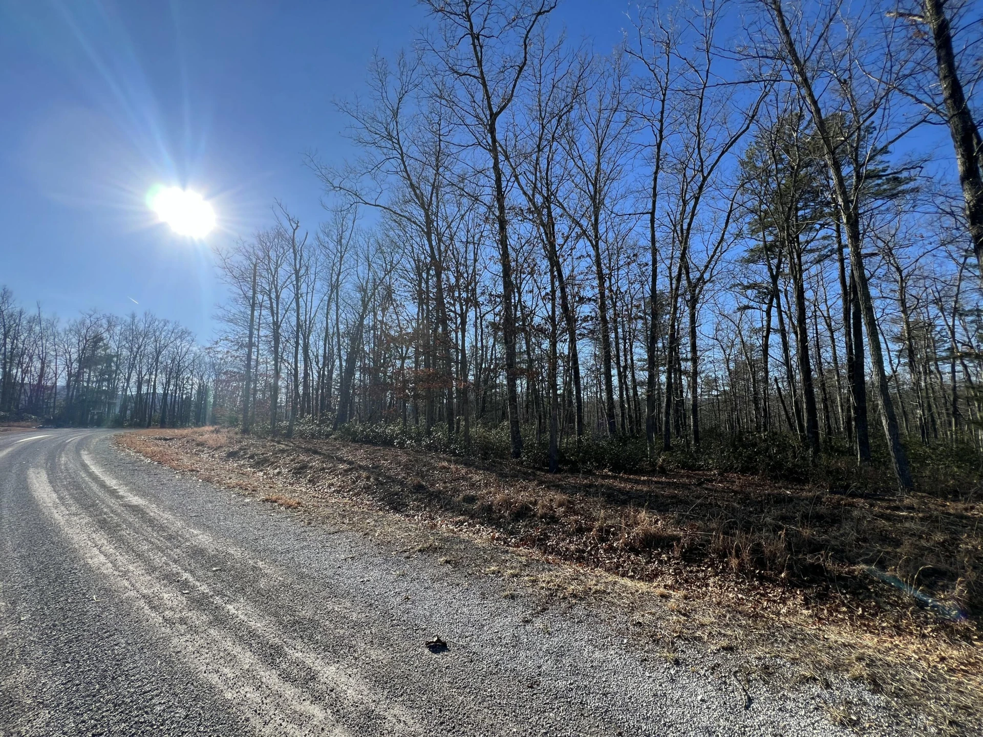 Lot 52 Black Diamond DR - Photo 3