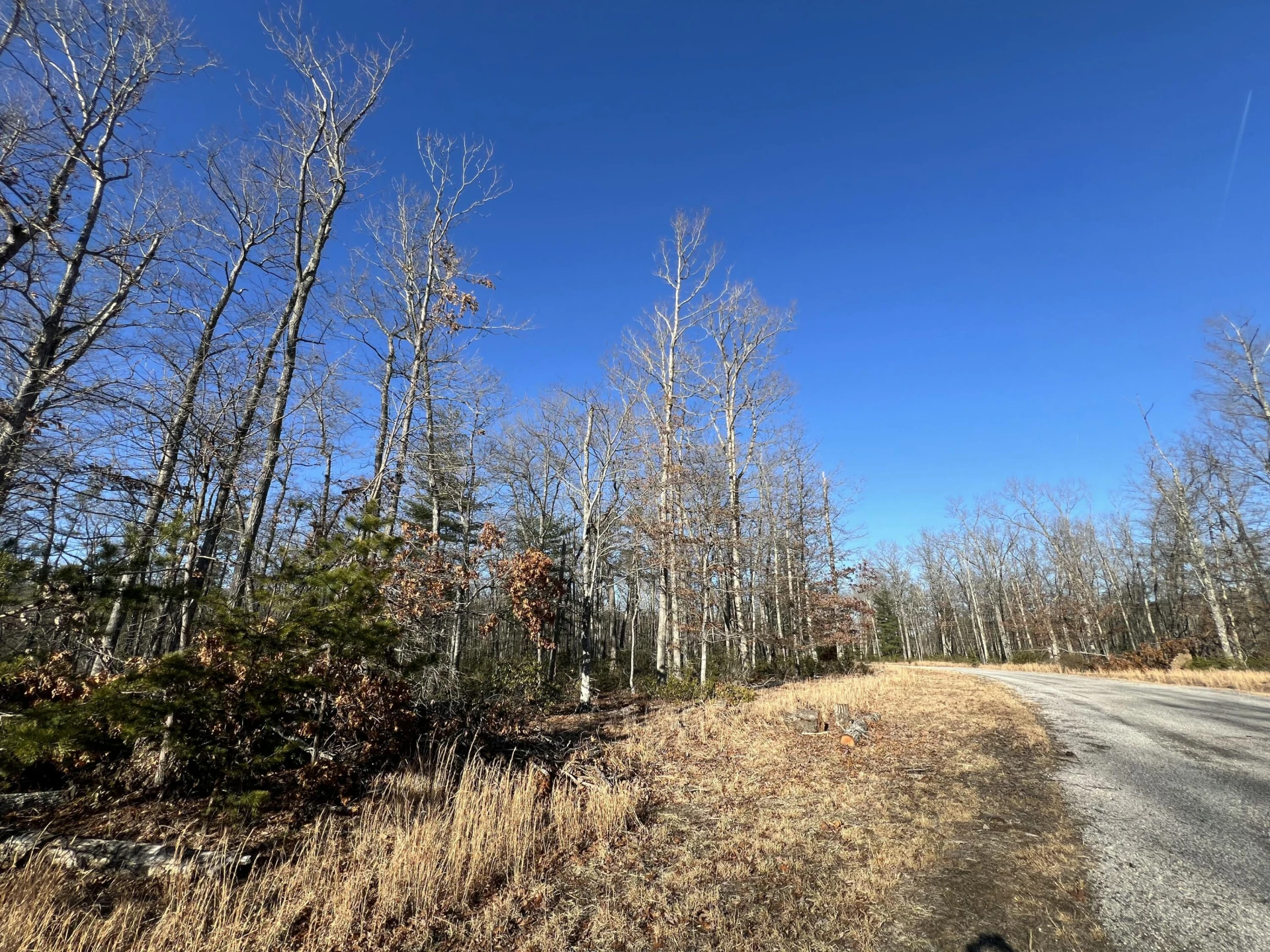 Lot 52 Black Diamond DR - Photo 4