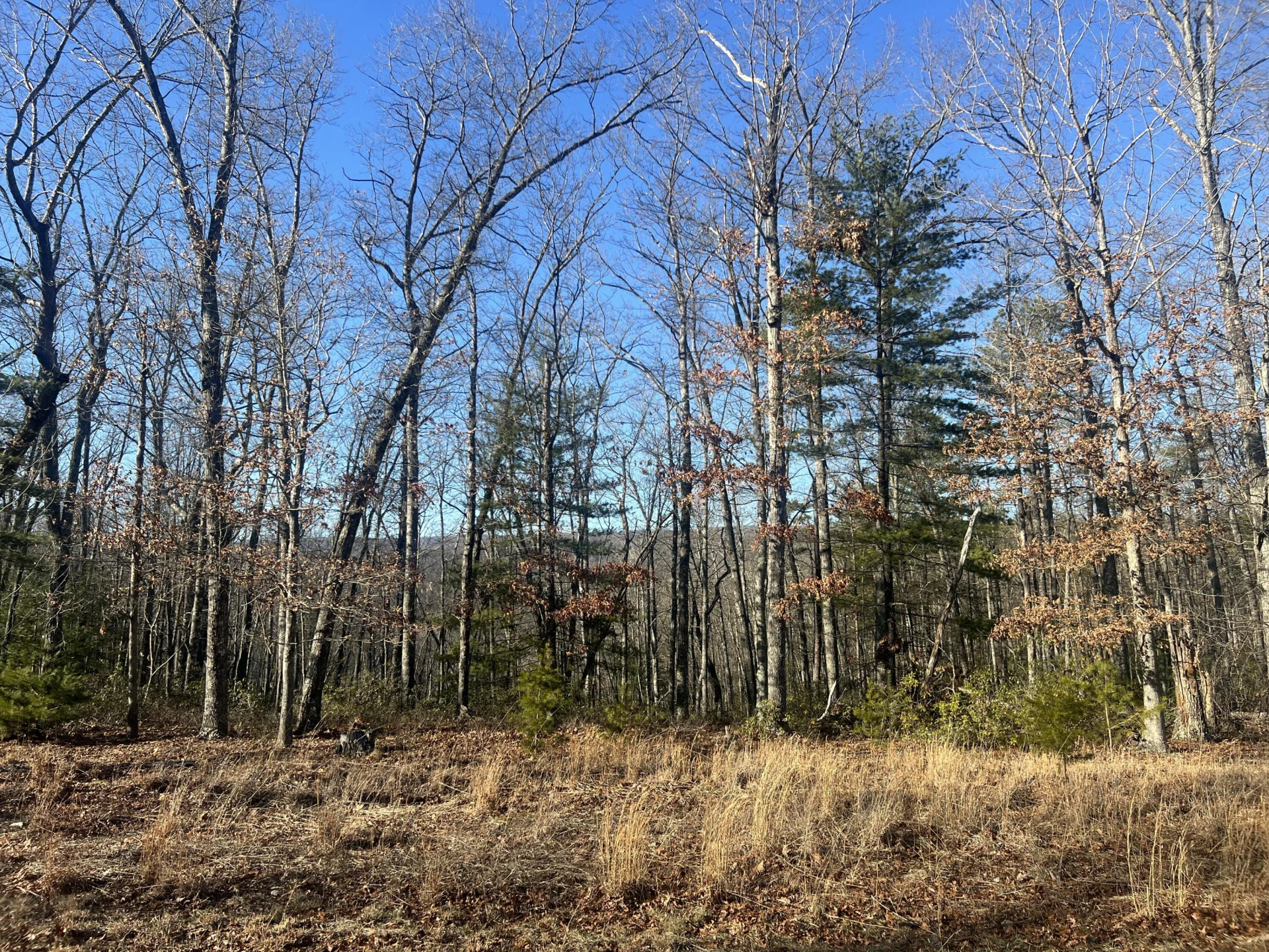 Lot 52 Black Diamond DR - Photo 5