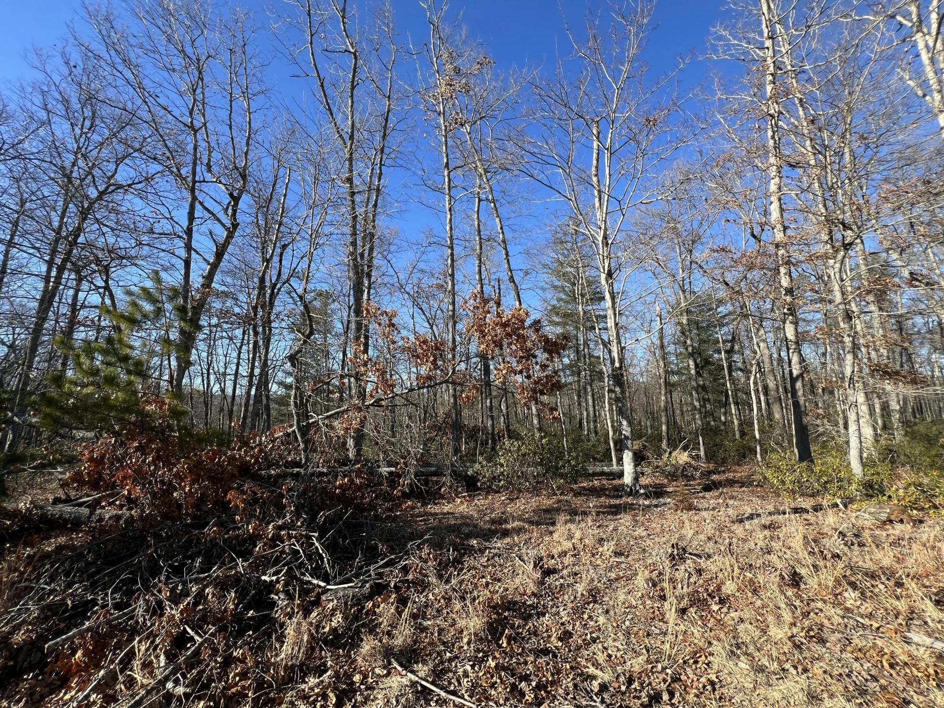 Lot 52 Black Diamond DR - Photo 6