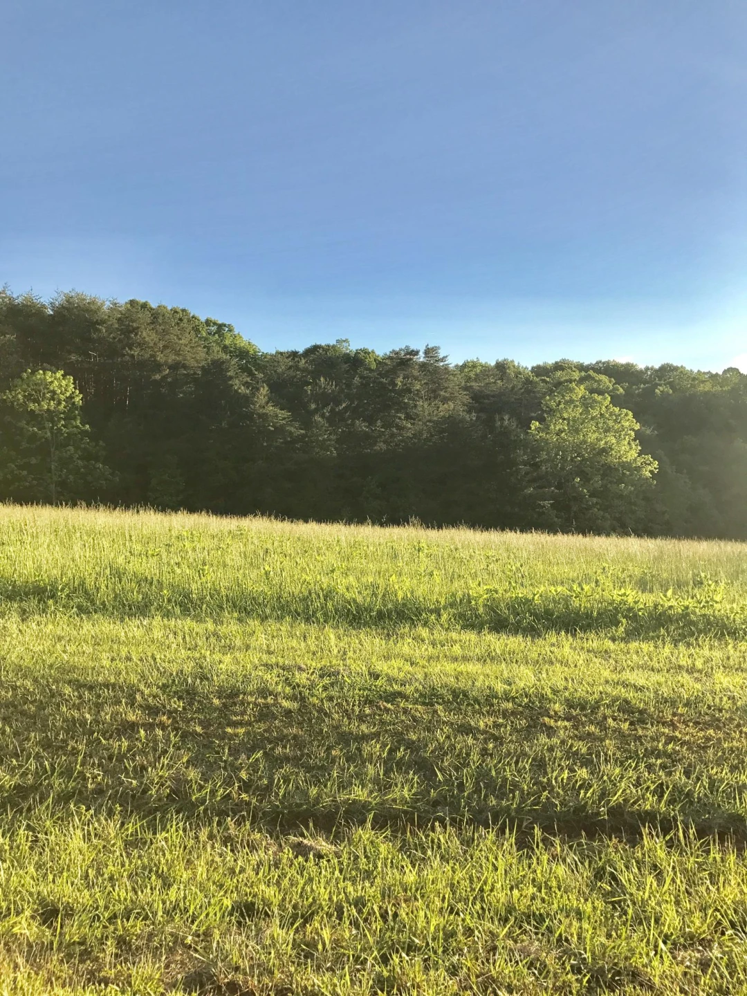 Lot 24 Windsor Castle DR