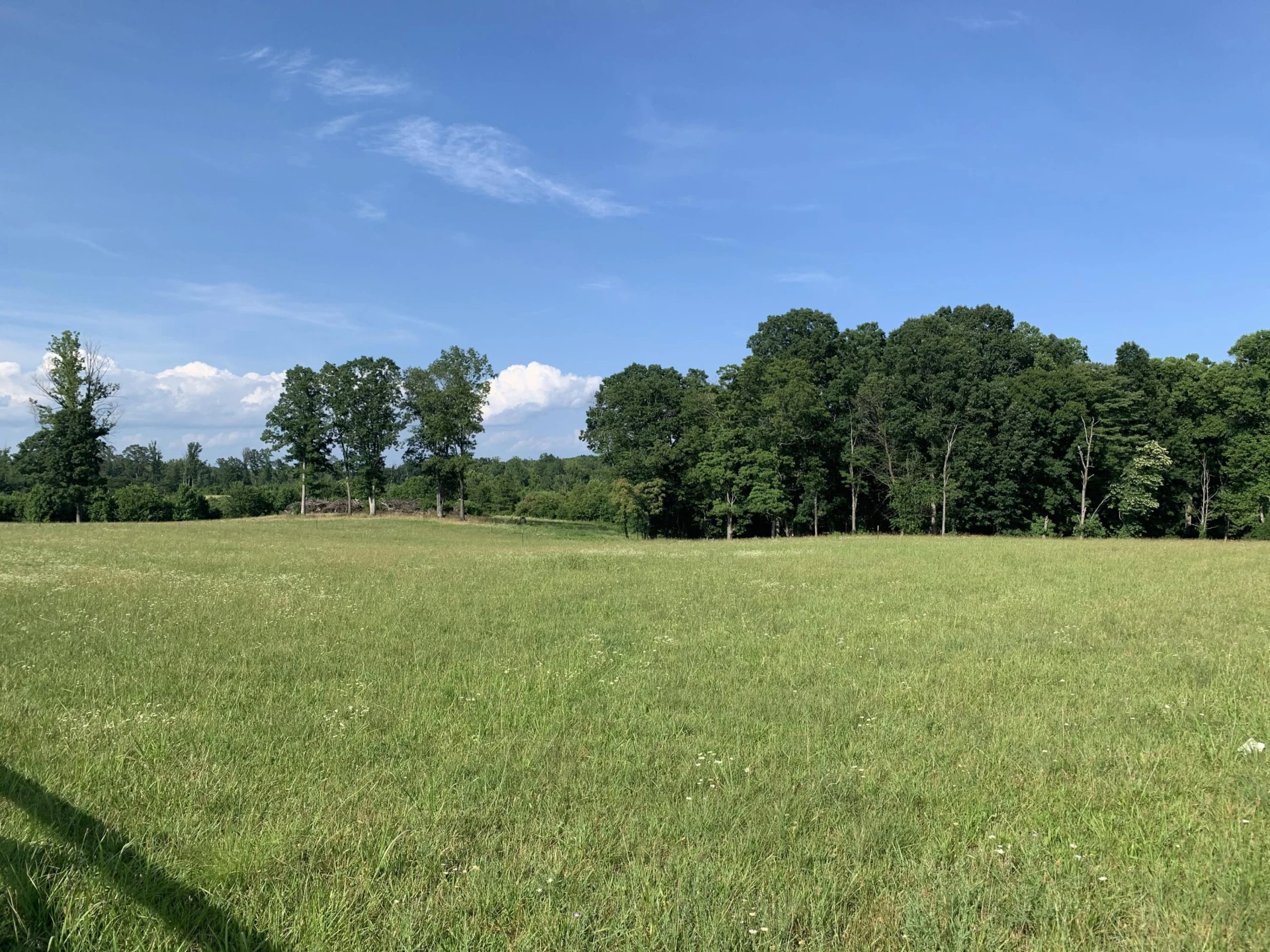 Lot 16 Old Franklin TPKE - Photo 5