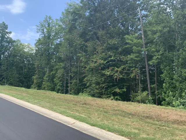 Lot 11 Mountain Top DR