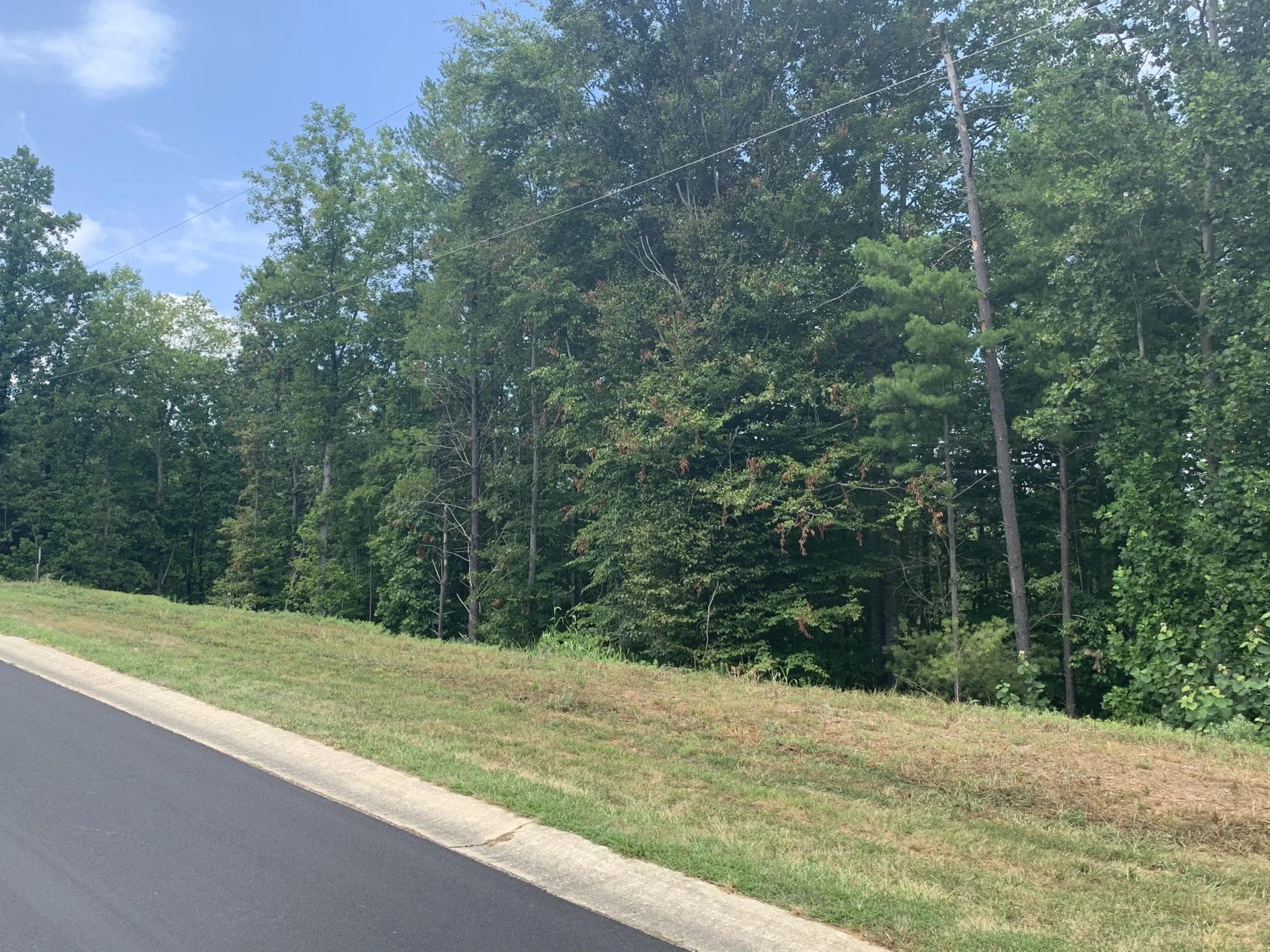 Lot 11 Mountain Top DR