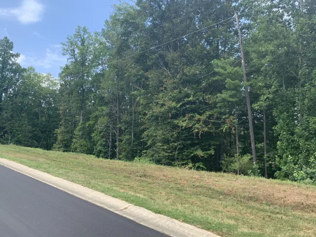 Lot 12 Mountain Top DR