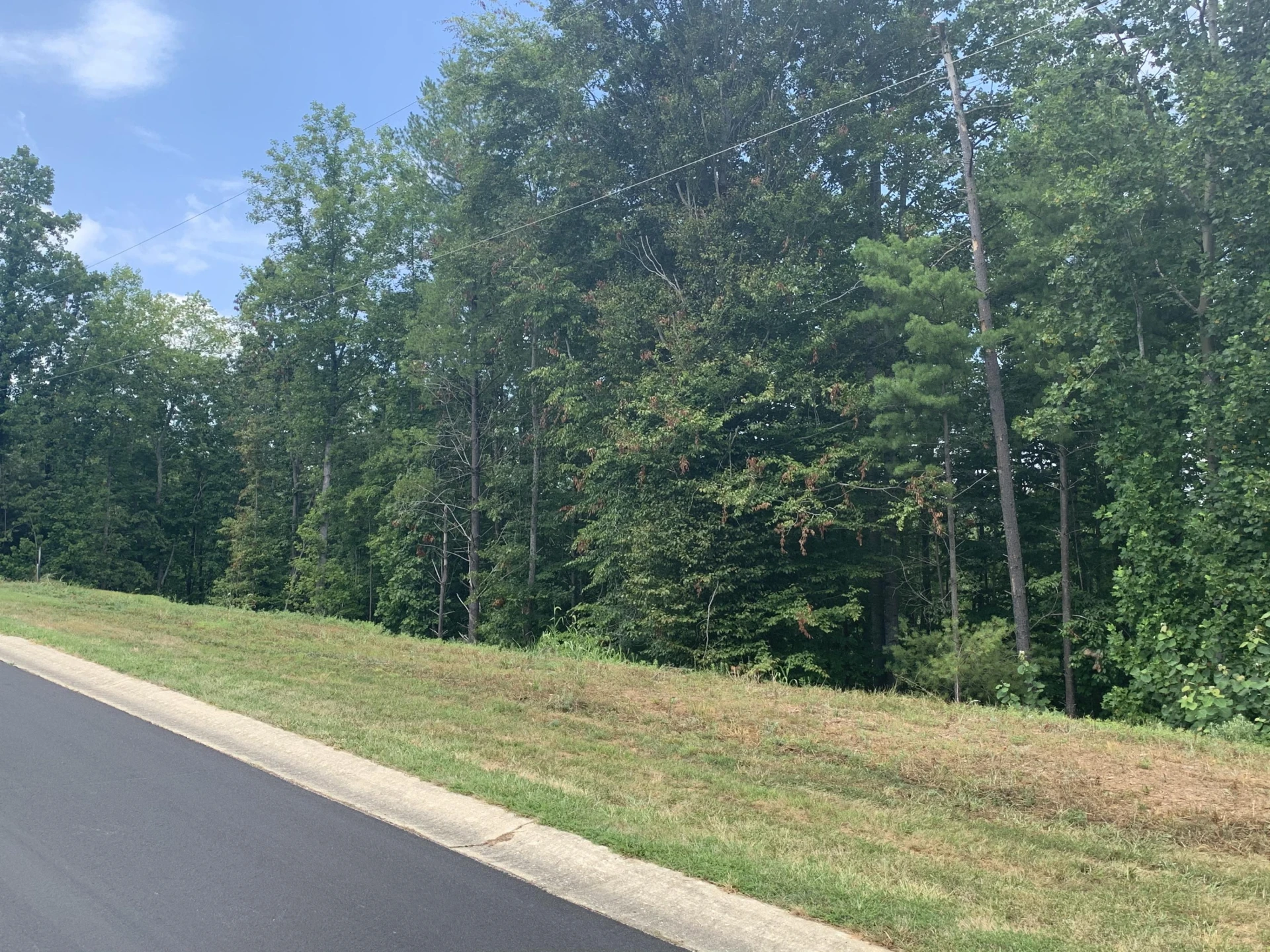 Lot 12 Mountain Top DR