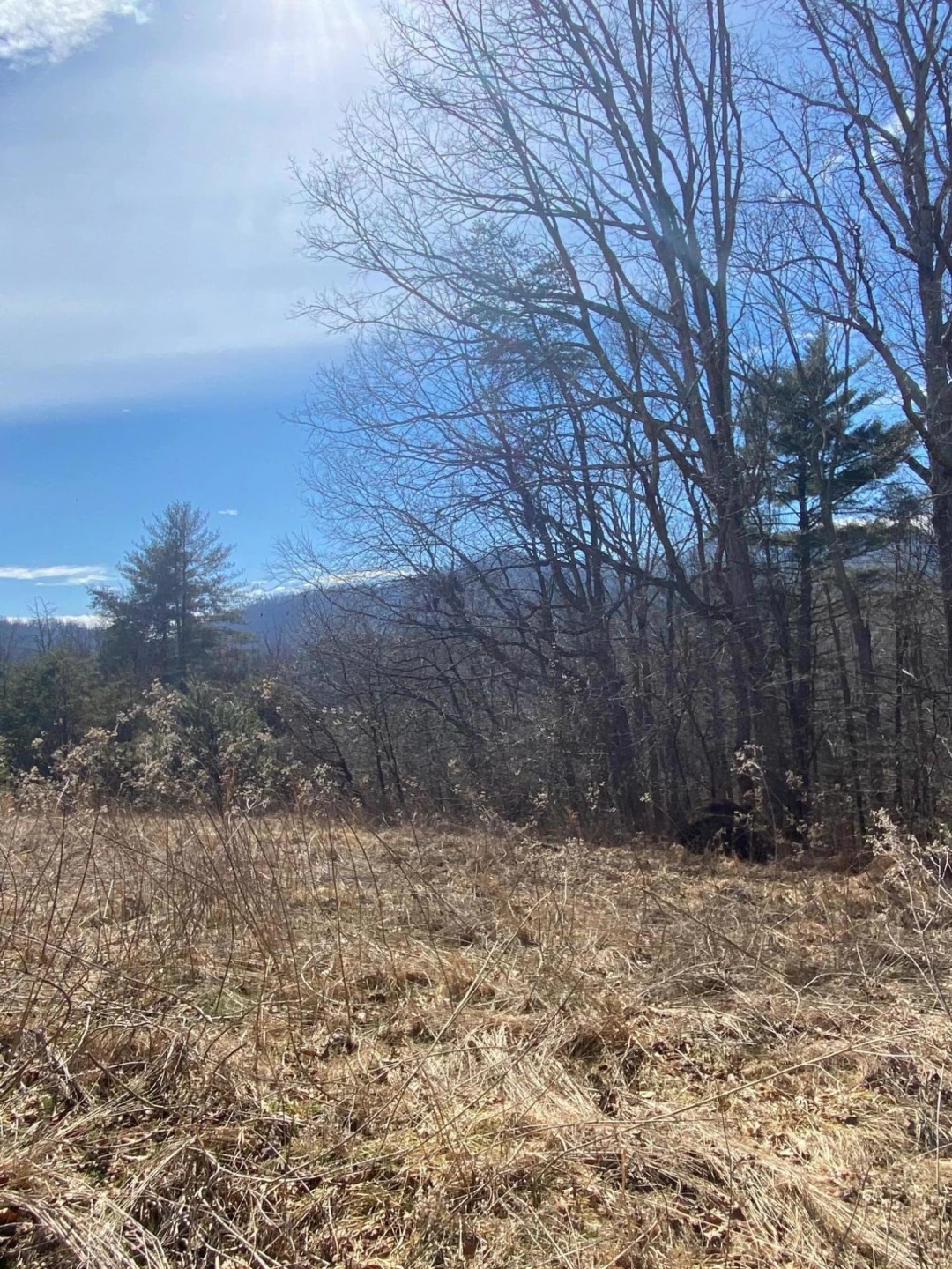 Lot 28 River Rock RD - Photo 4