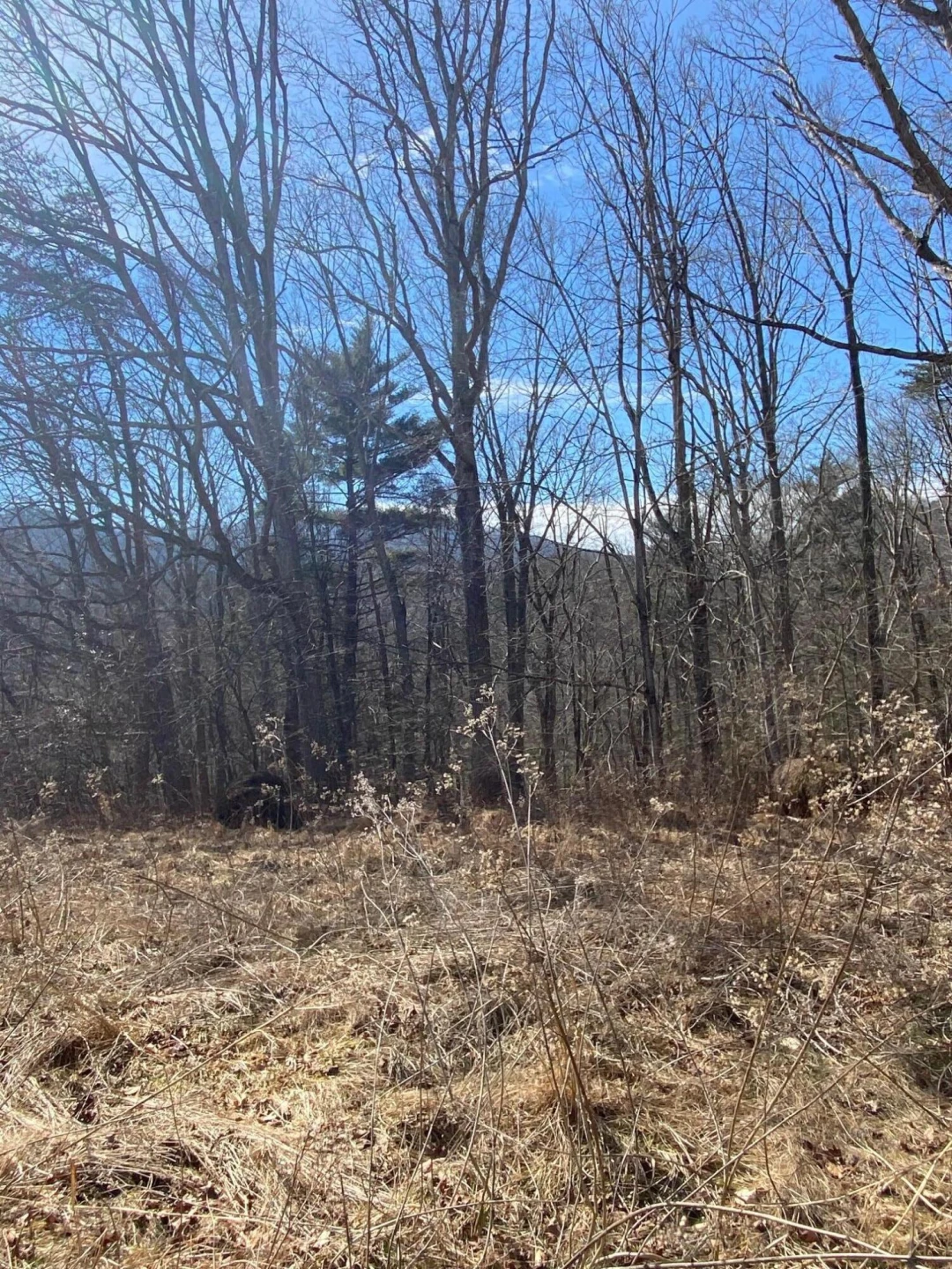 Lot 28 River Rock RD - Photo 7