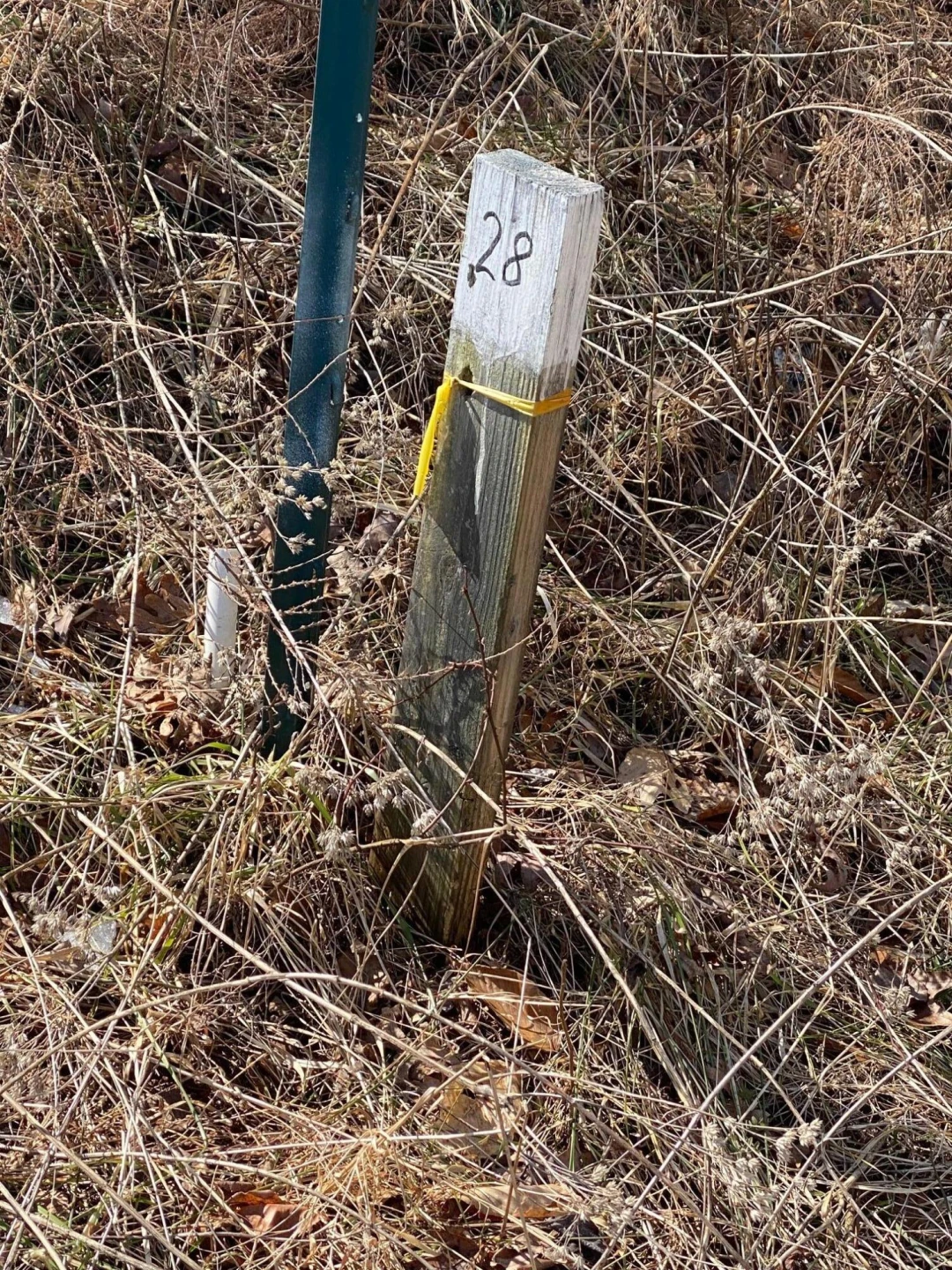 Lot 28 River Rock RD - Photo 9