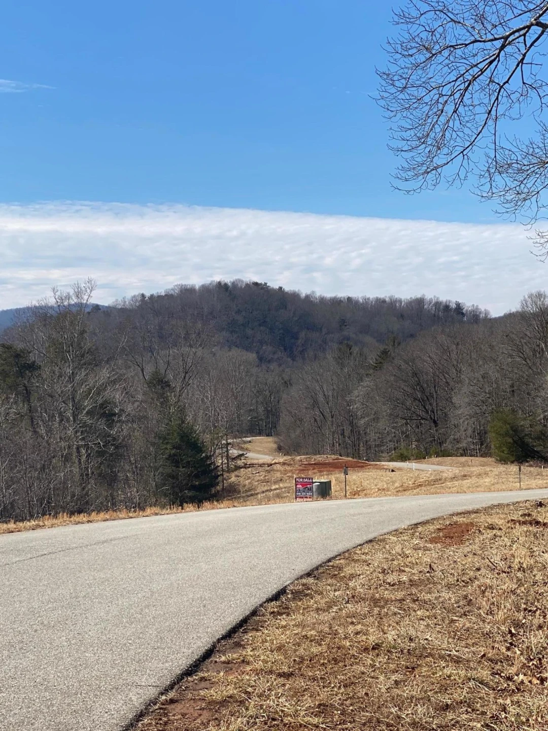 Lot 28 River Rock RD - Photo 12