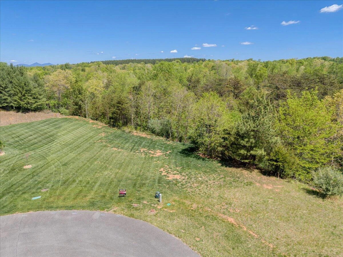 Lot 24 Pine Watch CIR - Photo 2