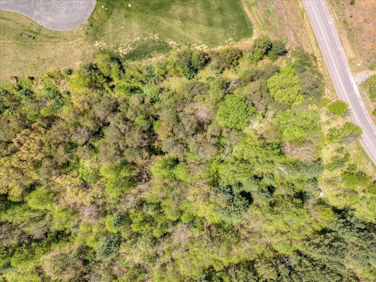 Lot 24 Pine Watch CIR - Photo 3