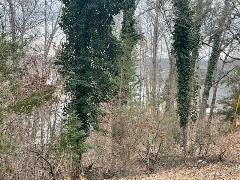 Lots 49/50 Overlook CIR