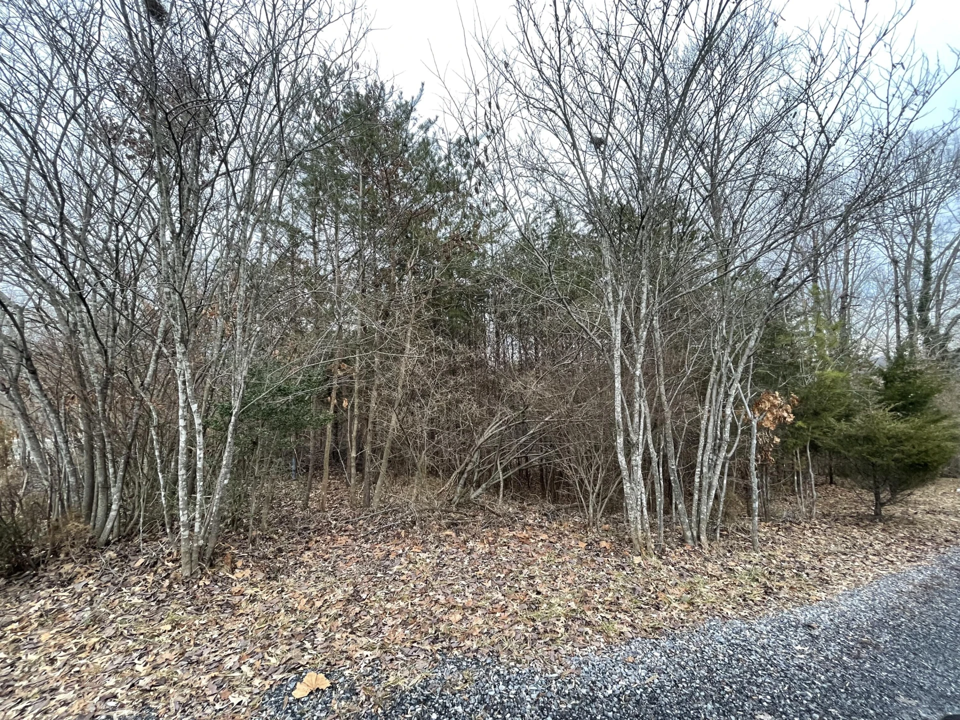 Lots 49/50 Overlook CIR - Photo 2