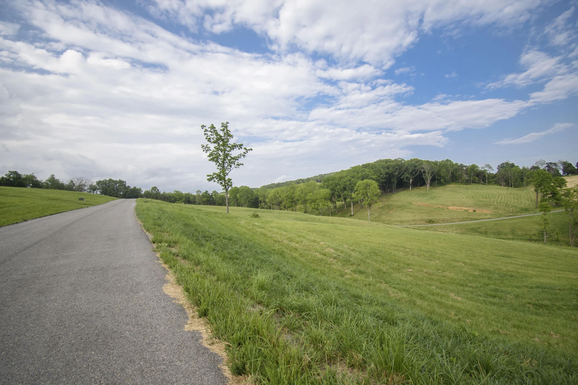 Lot 2 Tanager Cove - Photo 20