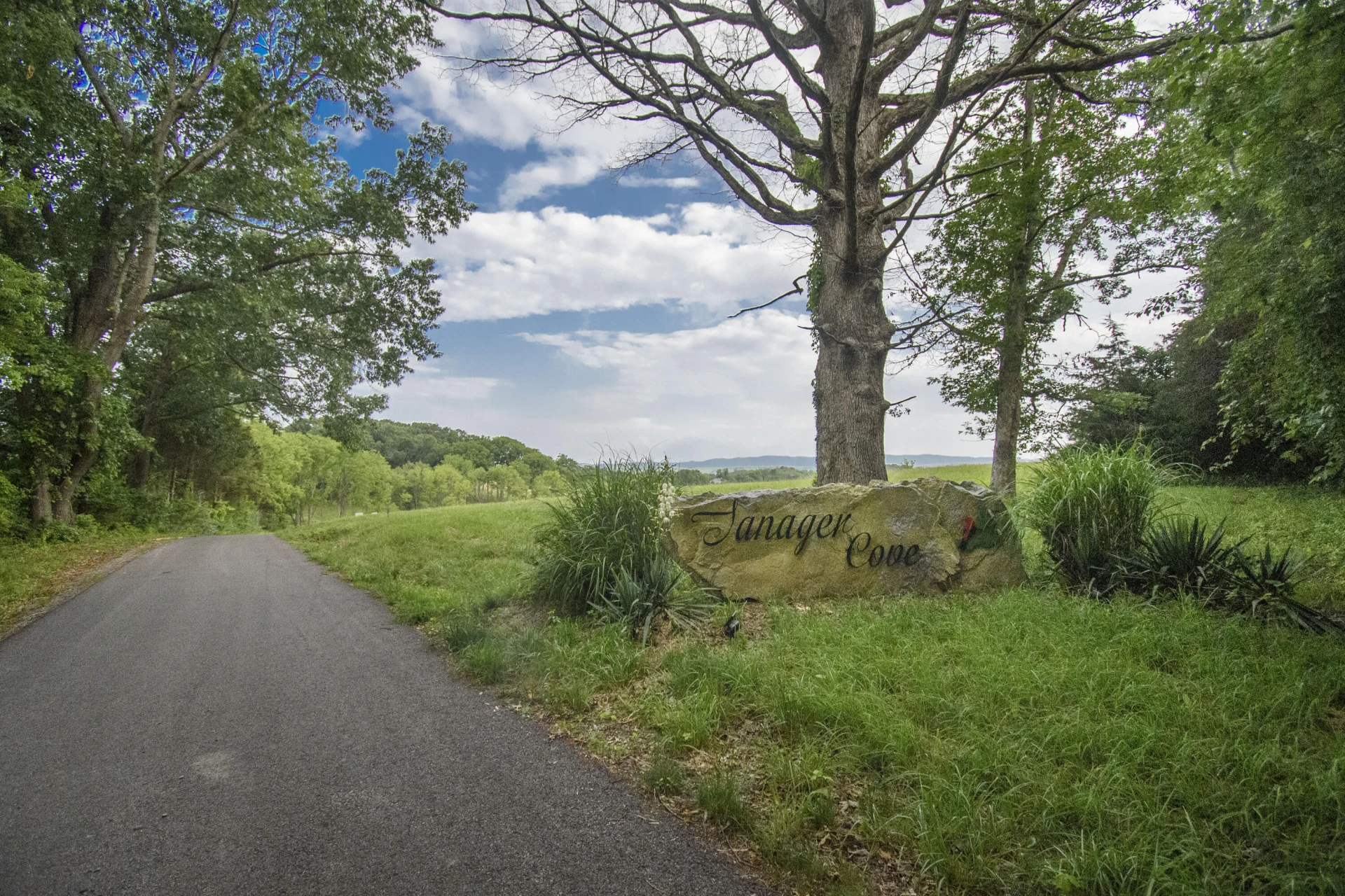LOT 4 Tanager Cove - Photo 36