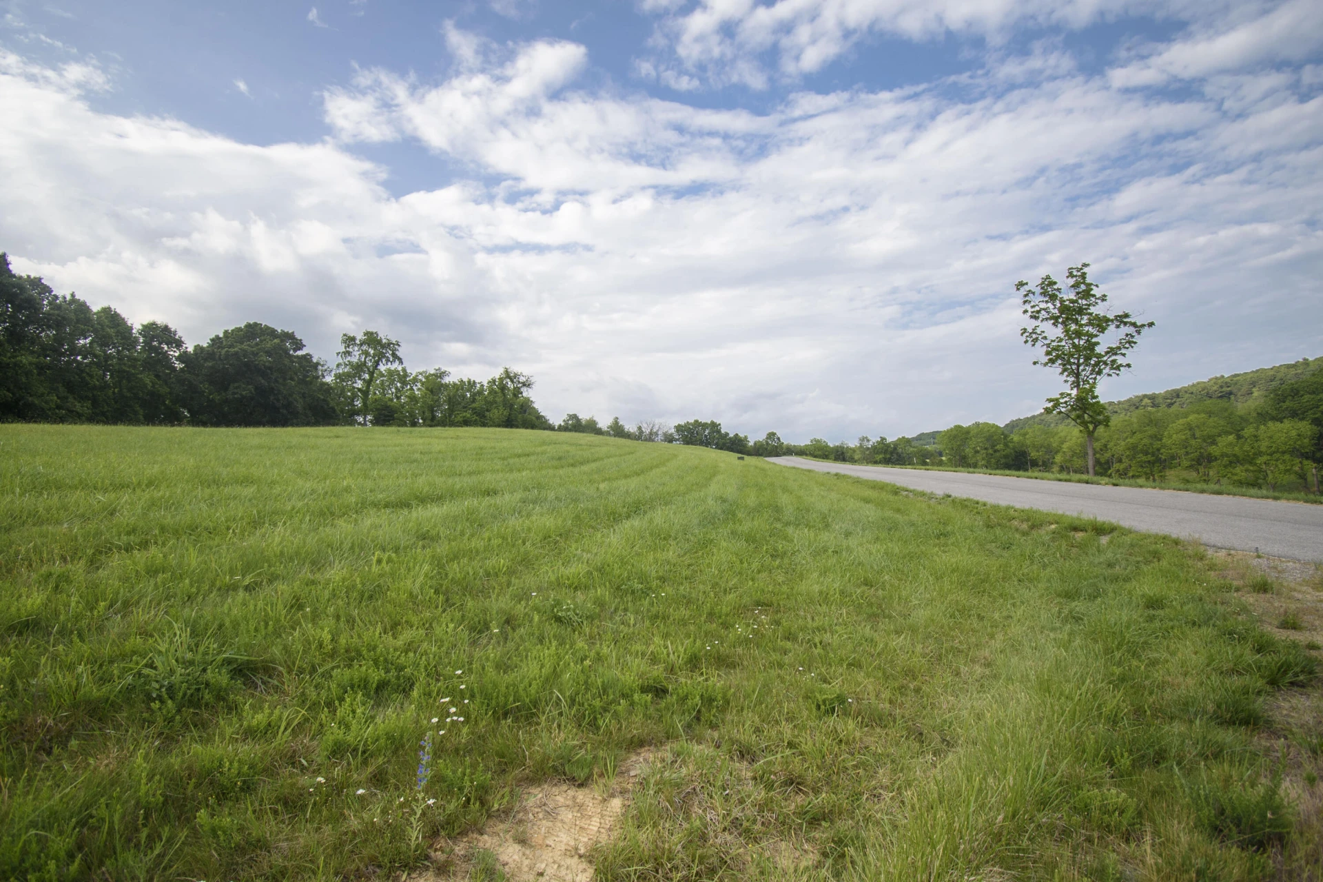 LOT 7 Tanager Cove - Photo 18