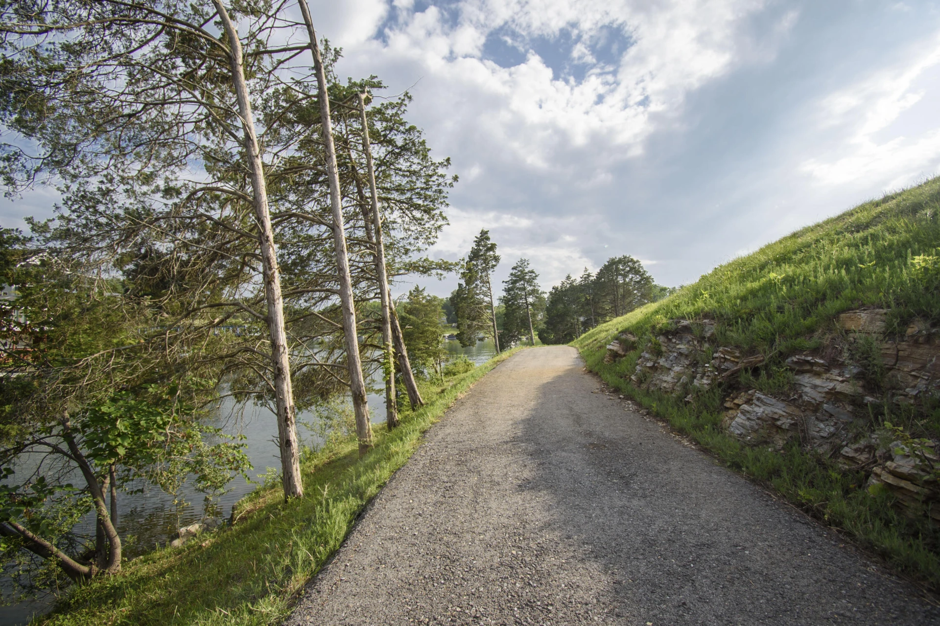 LOT 8 Tanager Cove - Photo 27