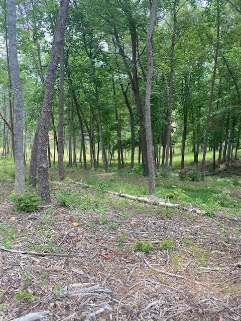 Lot 96 Crestview RD - Photo 3